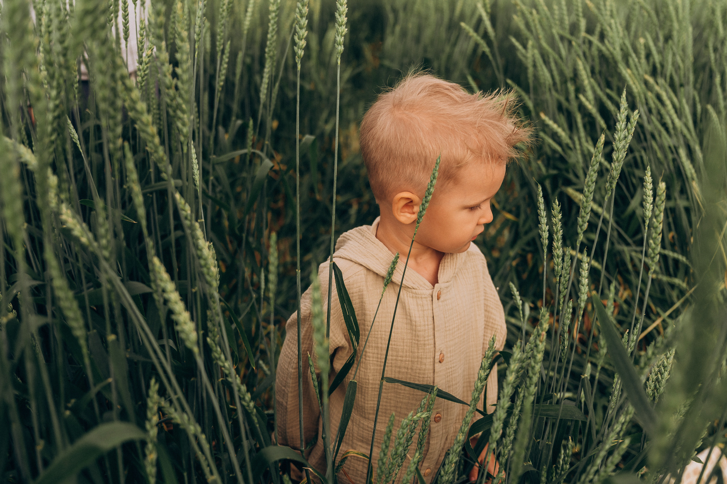 Даша, Максим, Сёма. Семейный и свадебный фотограф в Красноярске Садкеева Юлия