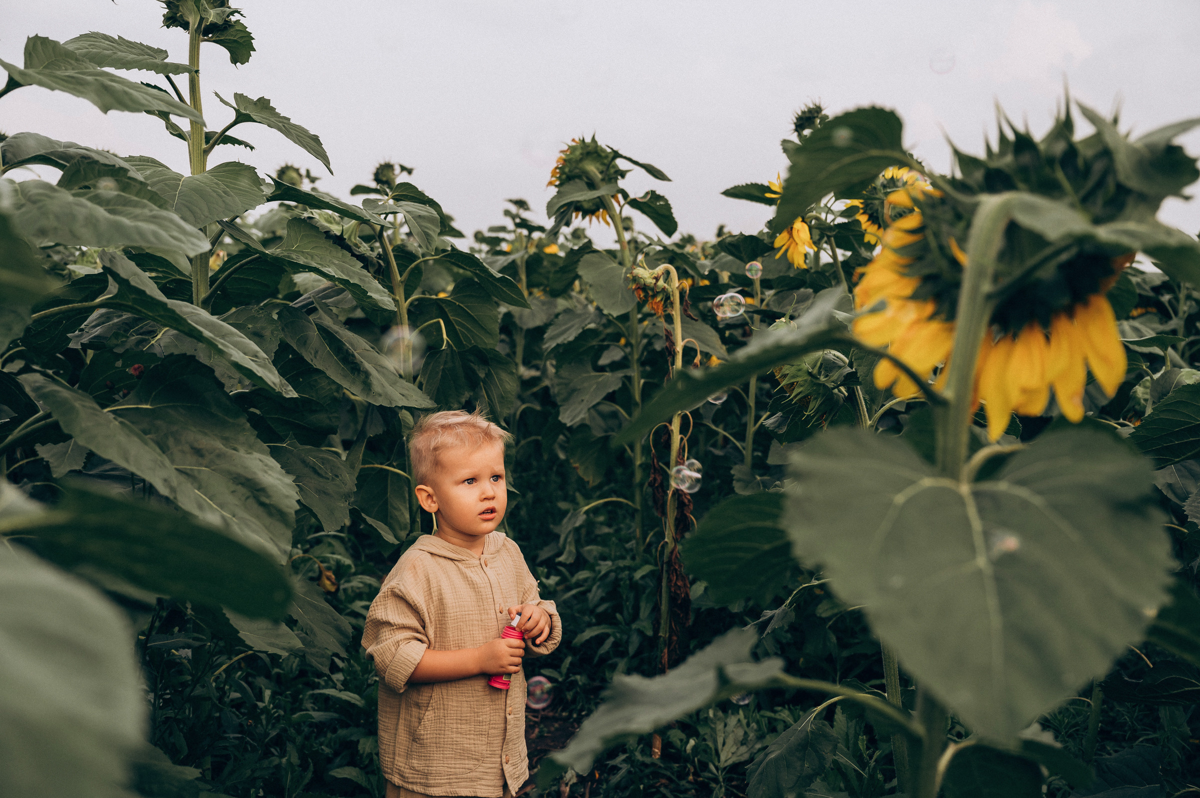 Даша, Максим, Сёма. Семейный и свадебный фотограф в Красноярске Садкеева Юлия