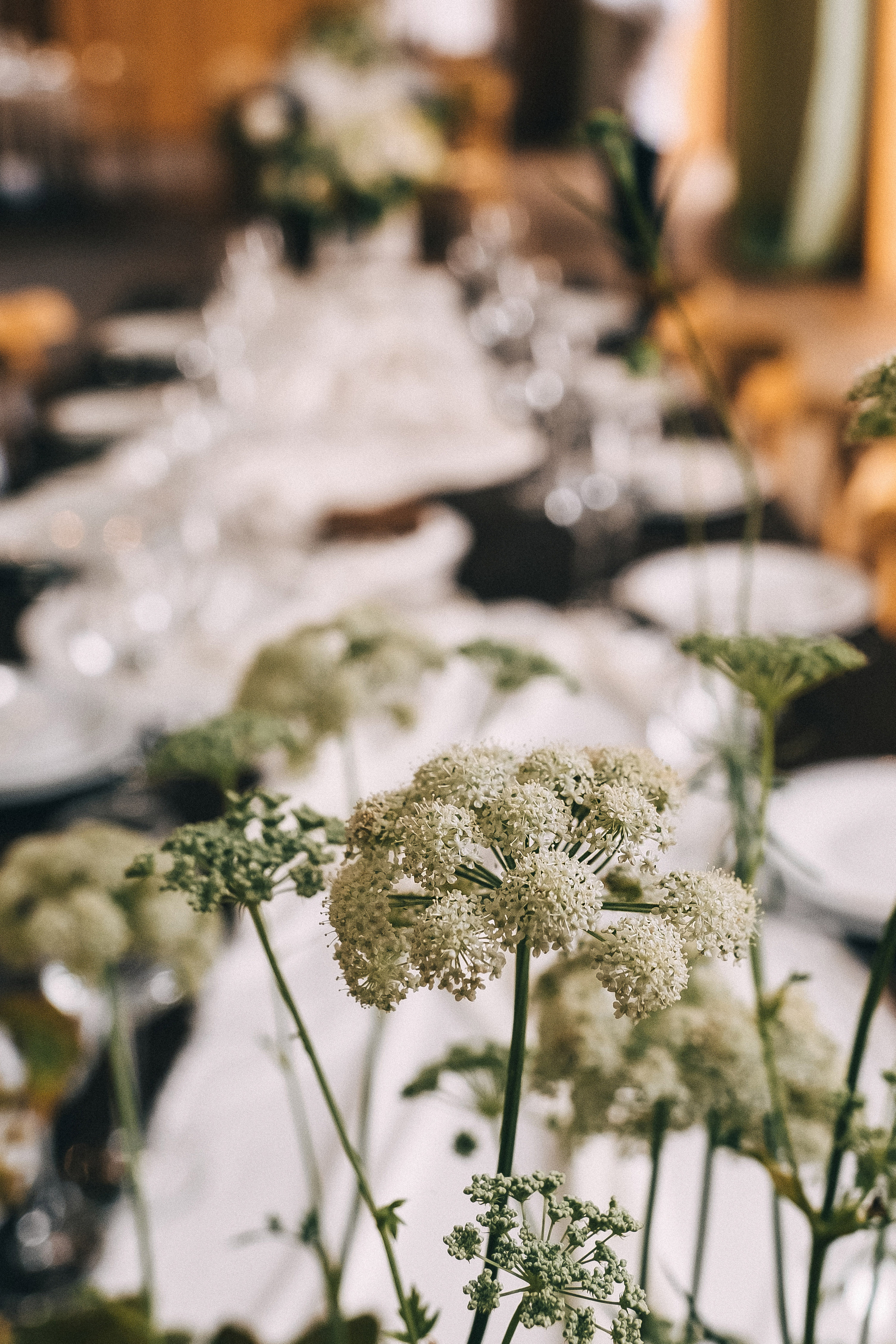 Ольга и Алексей. Семейный и свадебный фотограф в Красноярске Садкеева Юлия