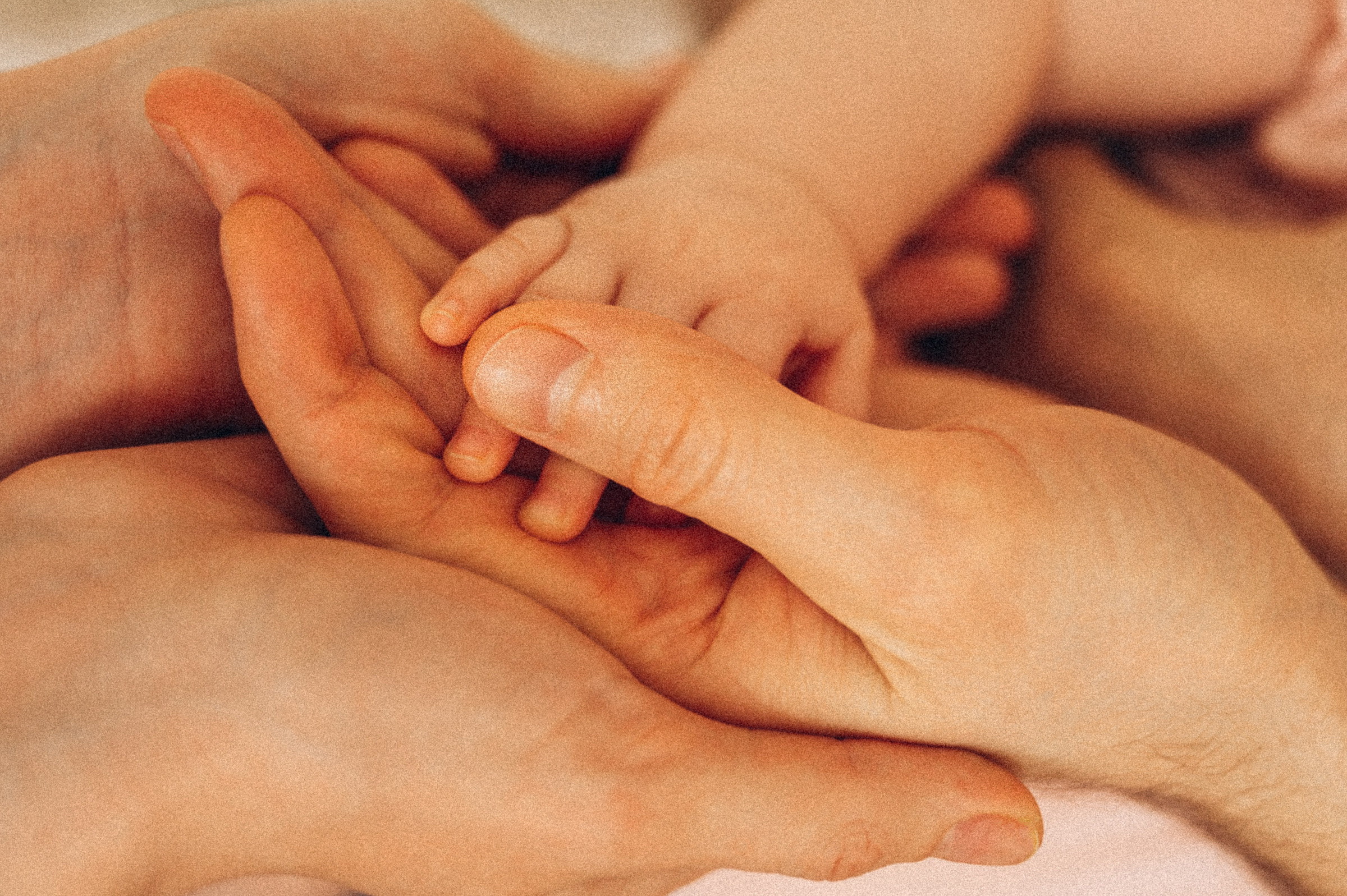 Алена, Паша, София. Семейный и свадебный фотограф в Красноярске Садкеева Юлия