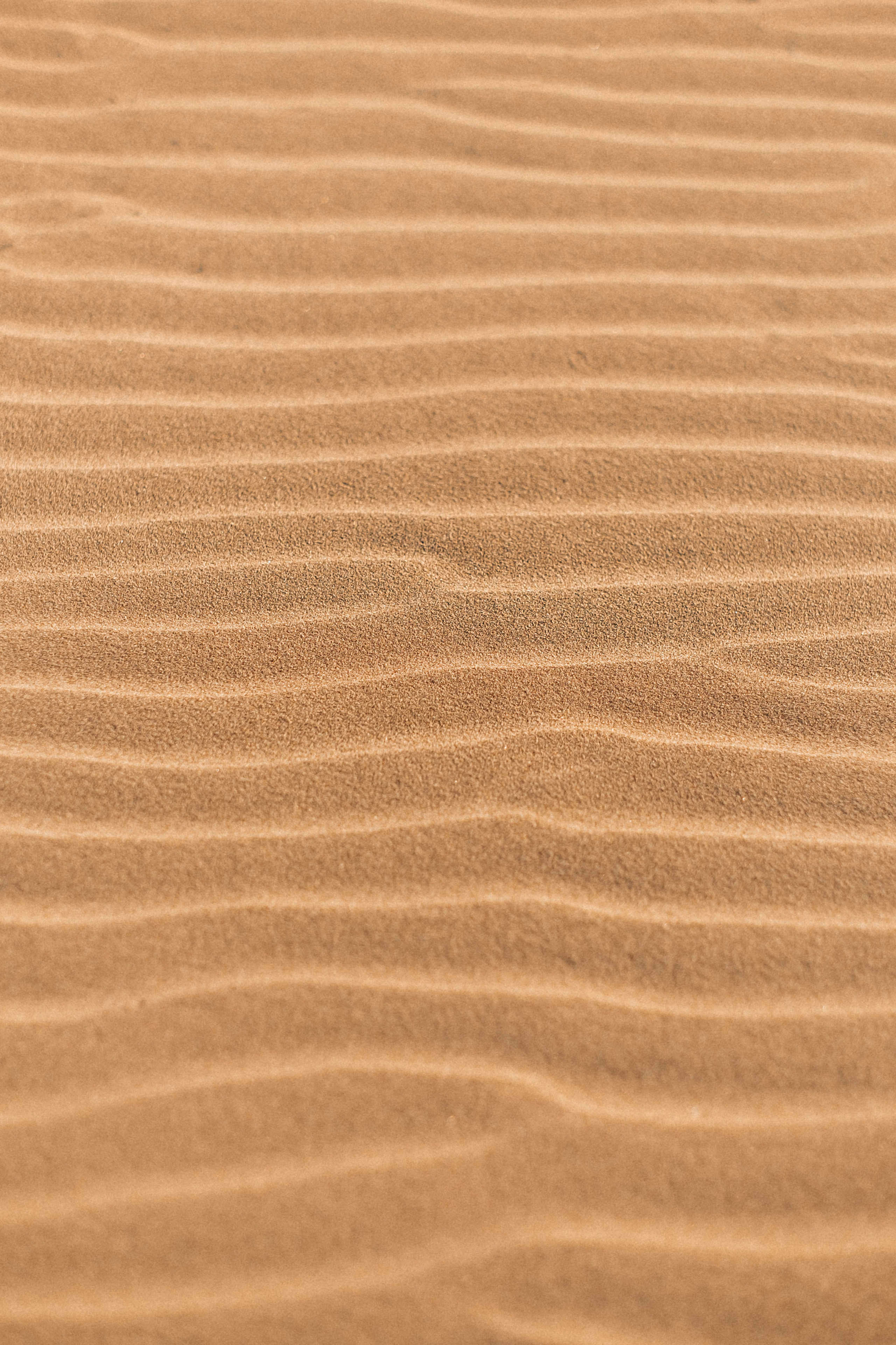 Полина и Михаил. Семейный и свадебный фотограф в Красноярске Садкеева Юлия