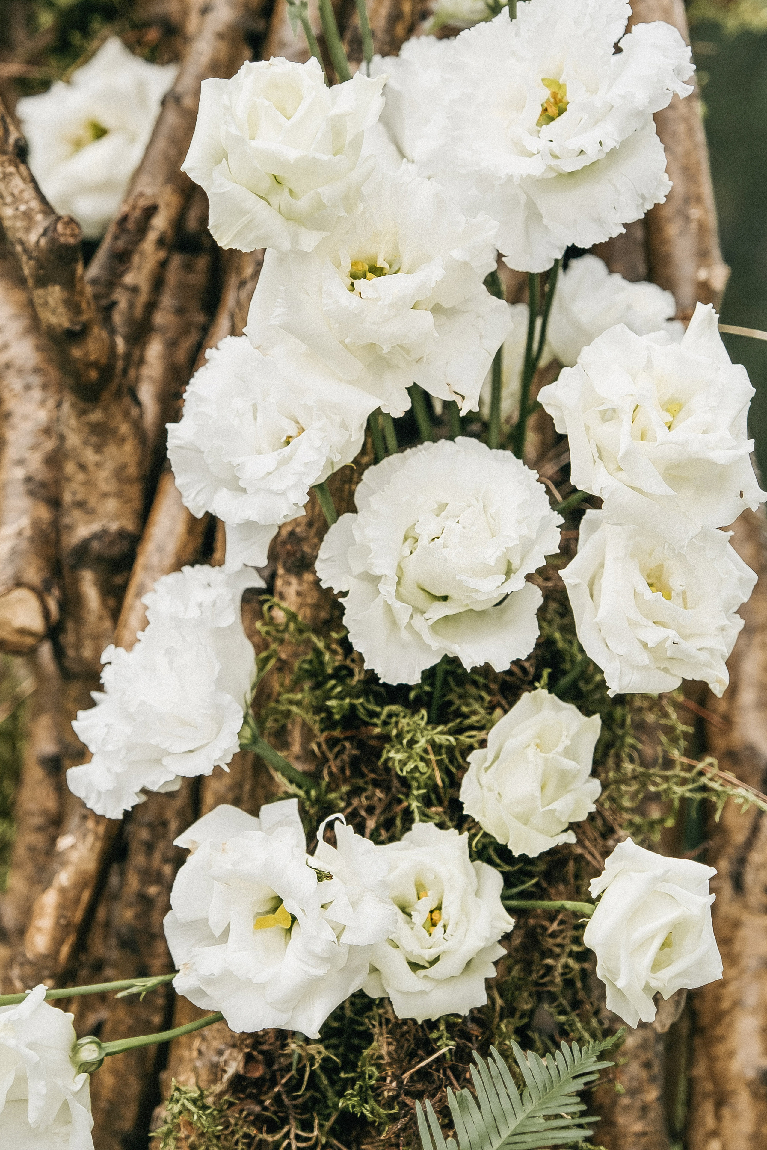 Ольга и Алексей. Семейный и свадебный фотограф в Красноярске Садкеева Юлия