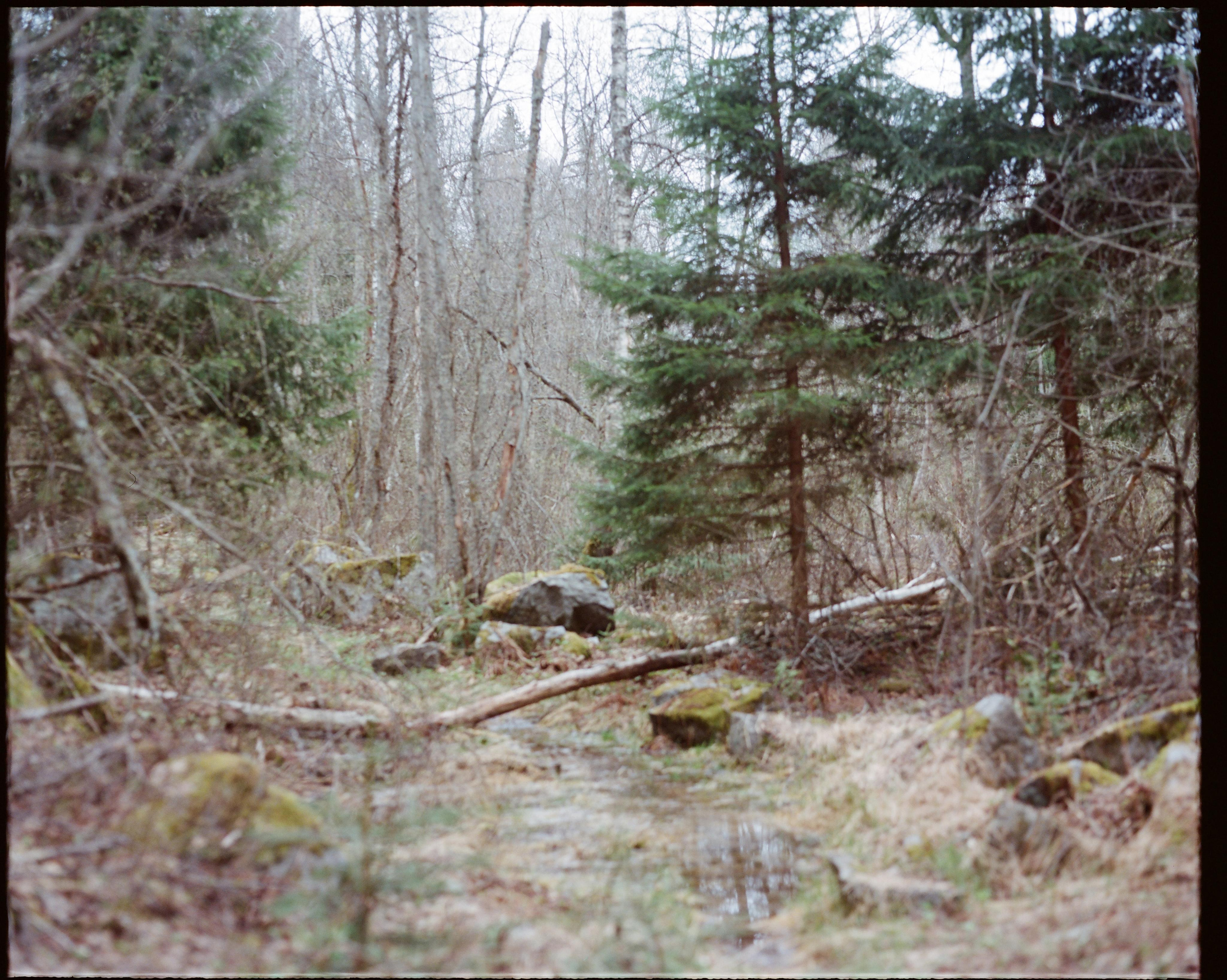 Topography of cruelty. Mikhail Kurganov