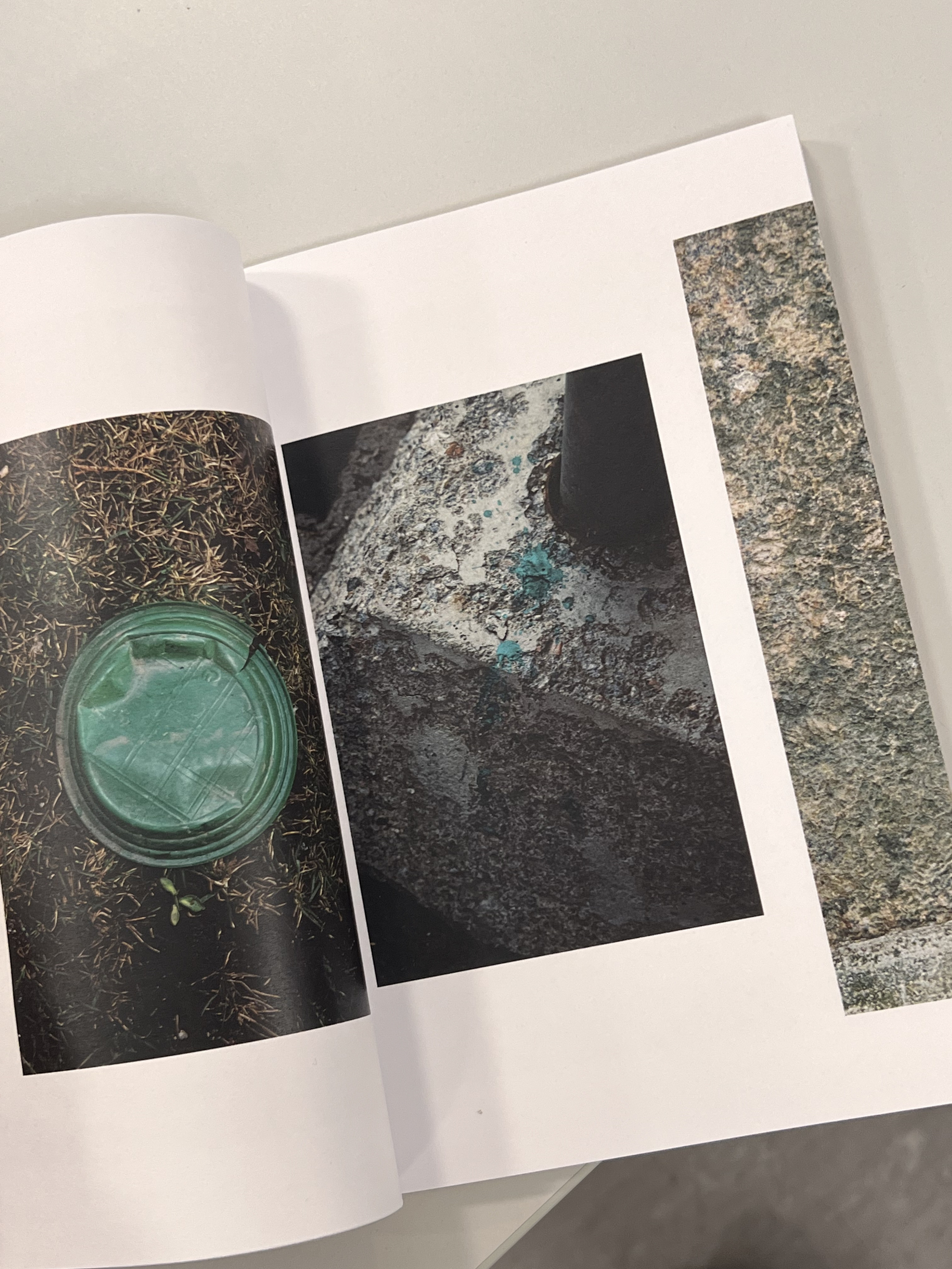 Habitat of color. Mikhail Kurganov