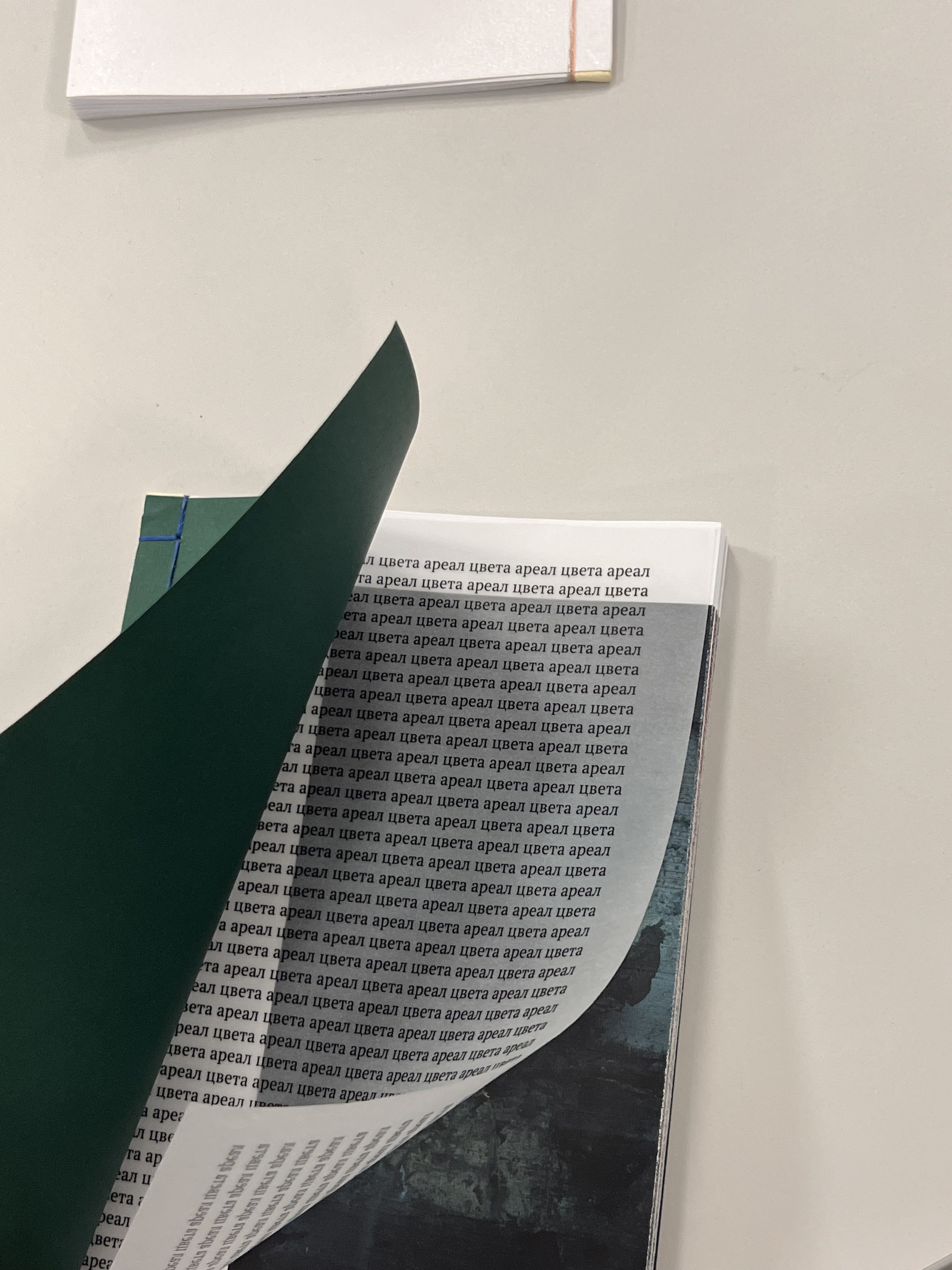 Habitat of color. Mikhail Kurganov