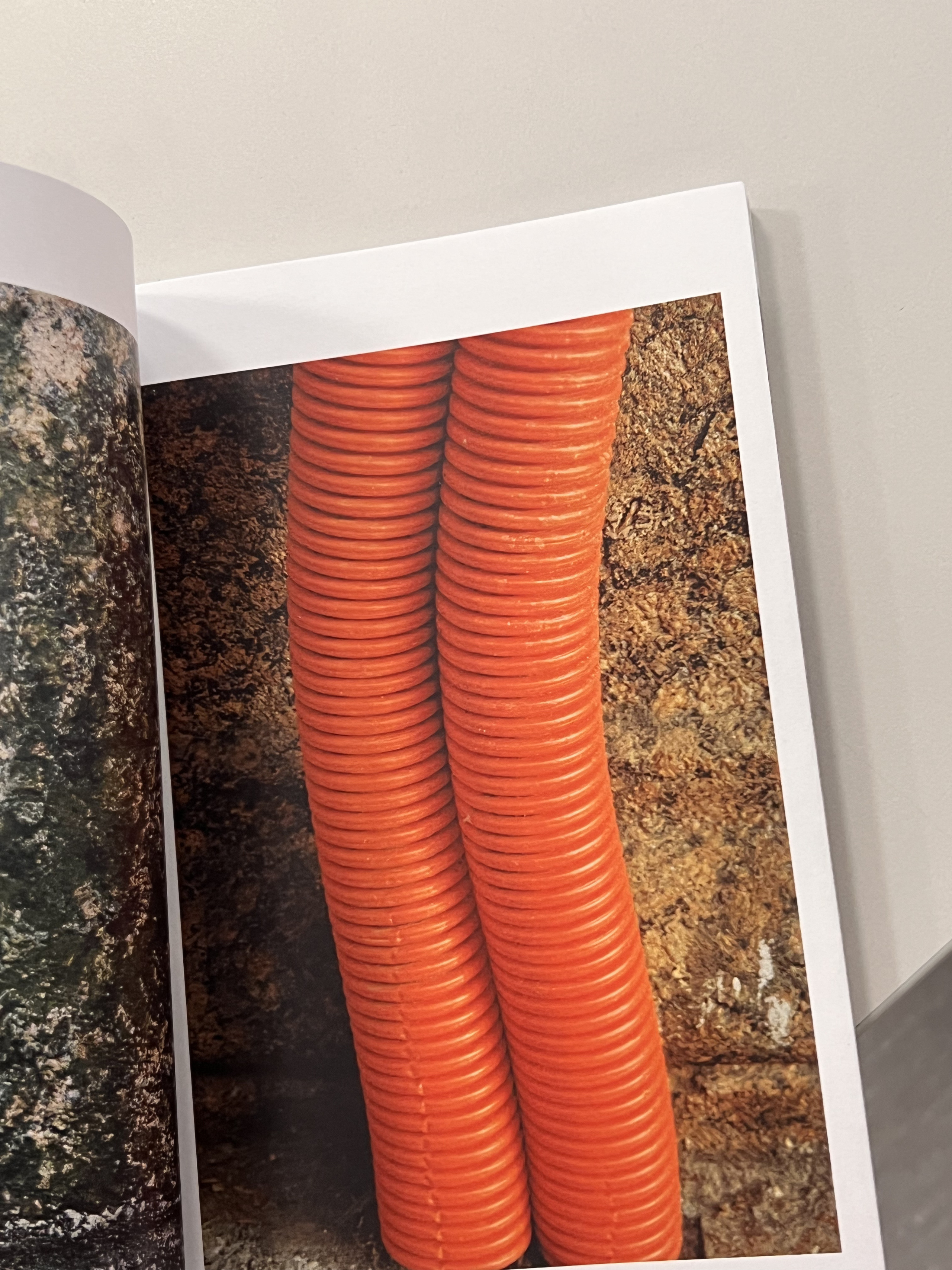 Habitat of color. Mikhail Kurganov