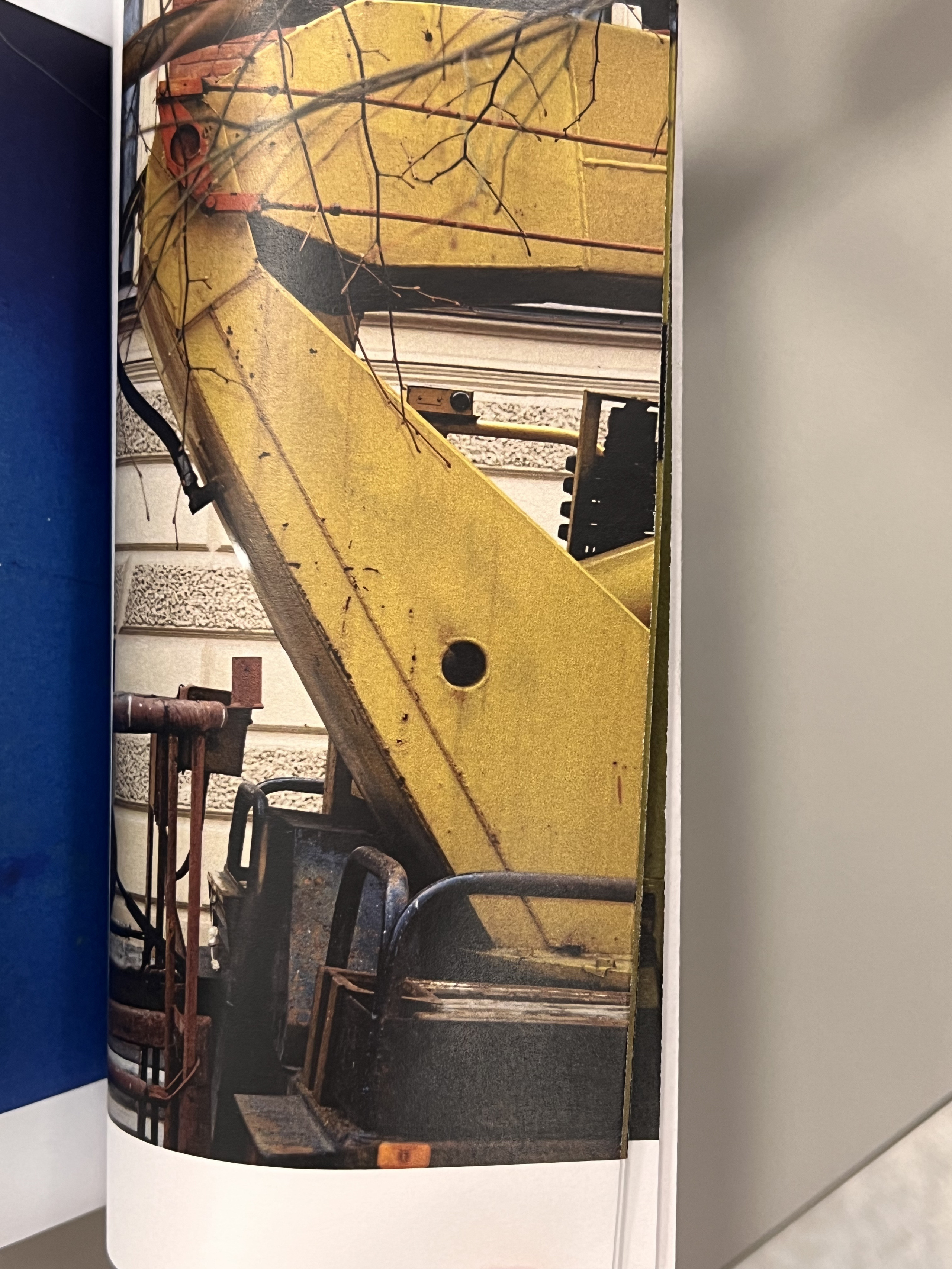 Habitat of color. Mikhail Kurganov