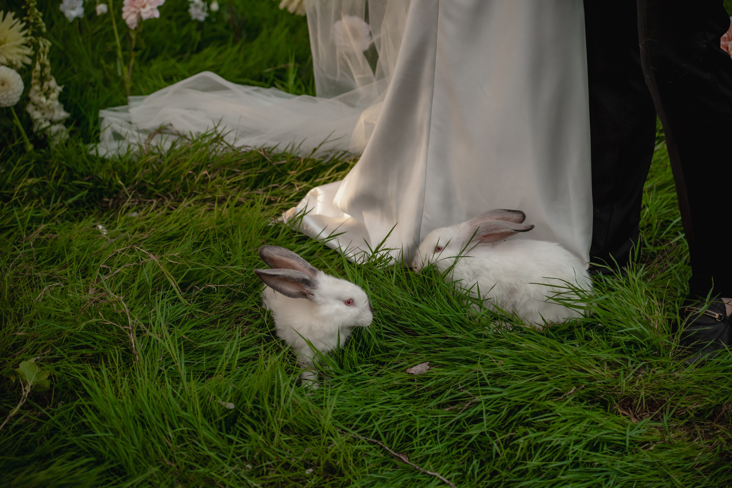 Бельбек. Свадебный фотограф Анна Хочева