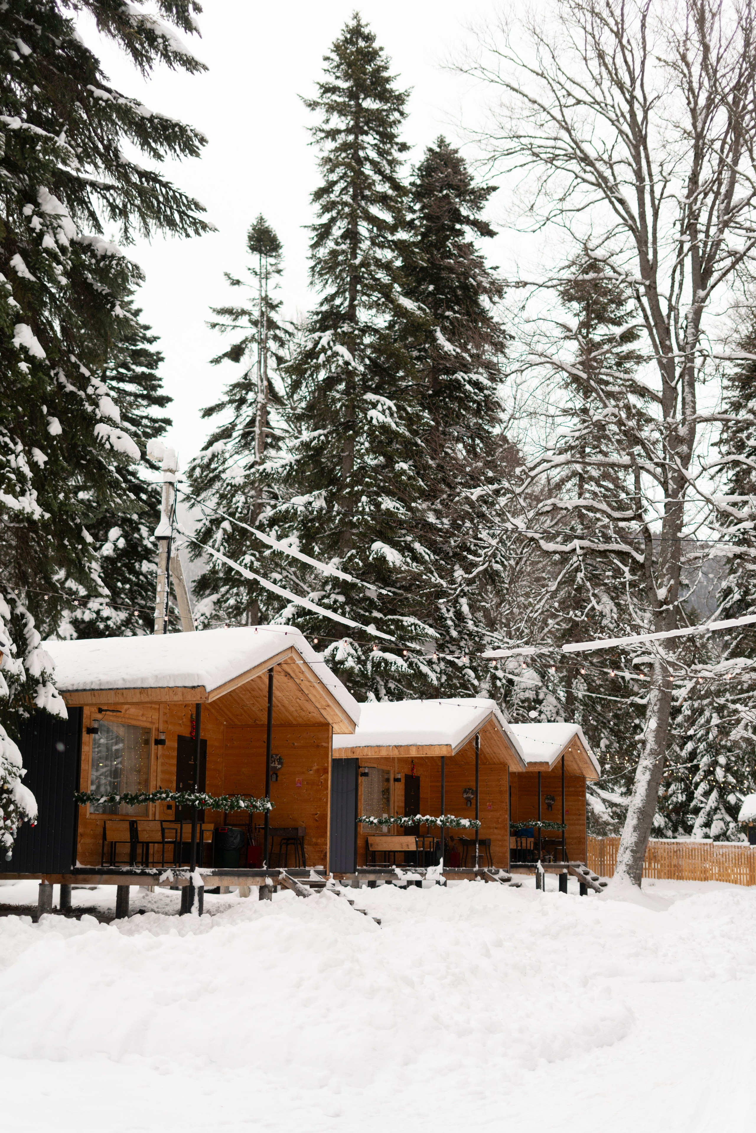 Домбай. Фотограф Александра Волкова | Волгоград