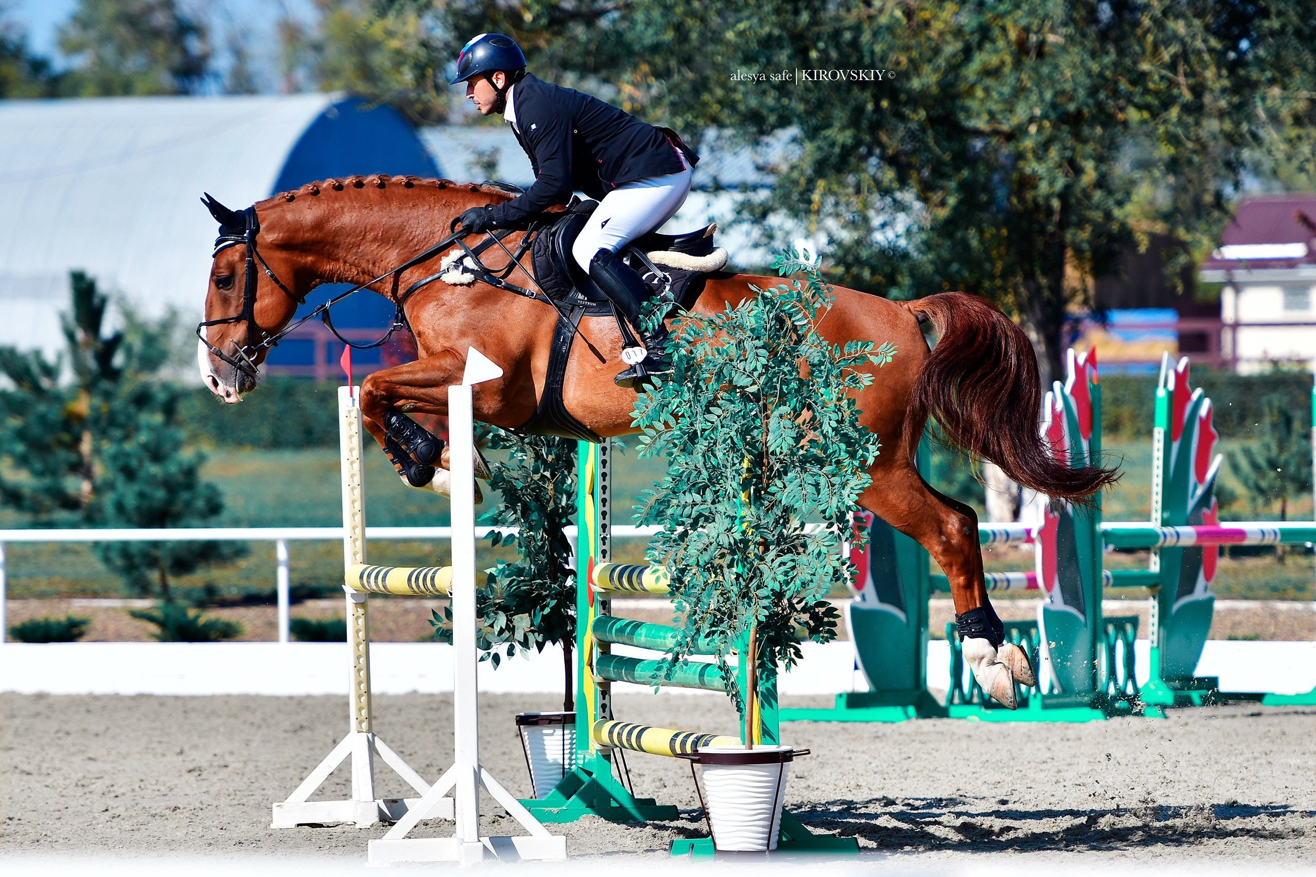 Кировский конный завод. Конный фотограф Alesya Safe