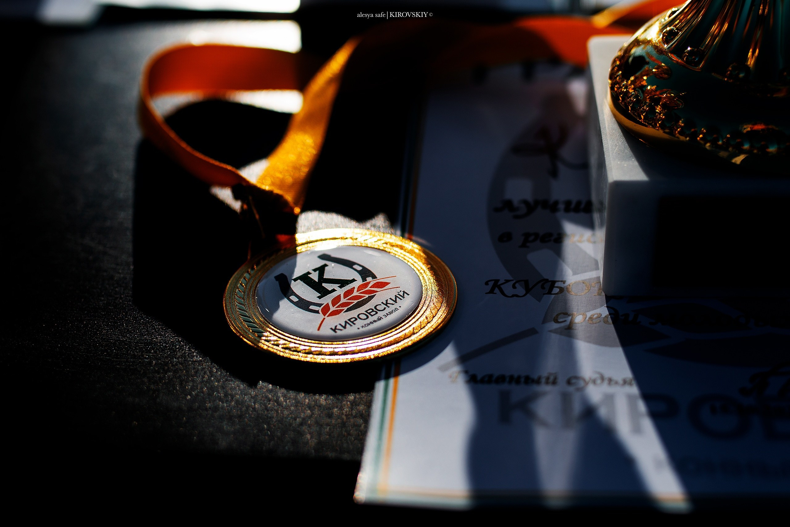 Кировский конный завод. Конный фотограф Alesya Safe