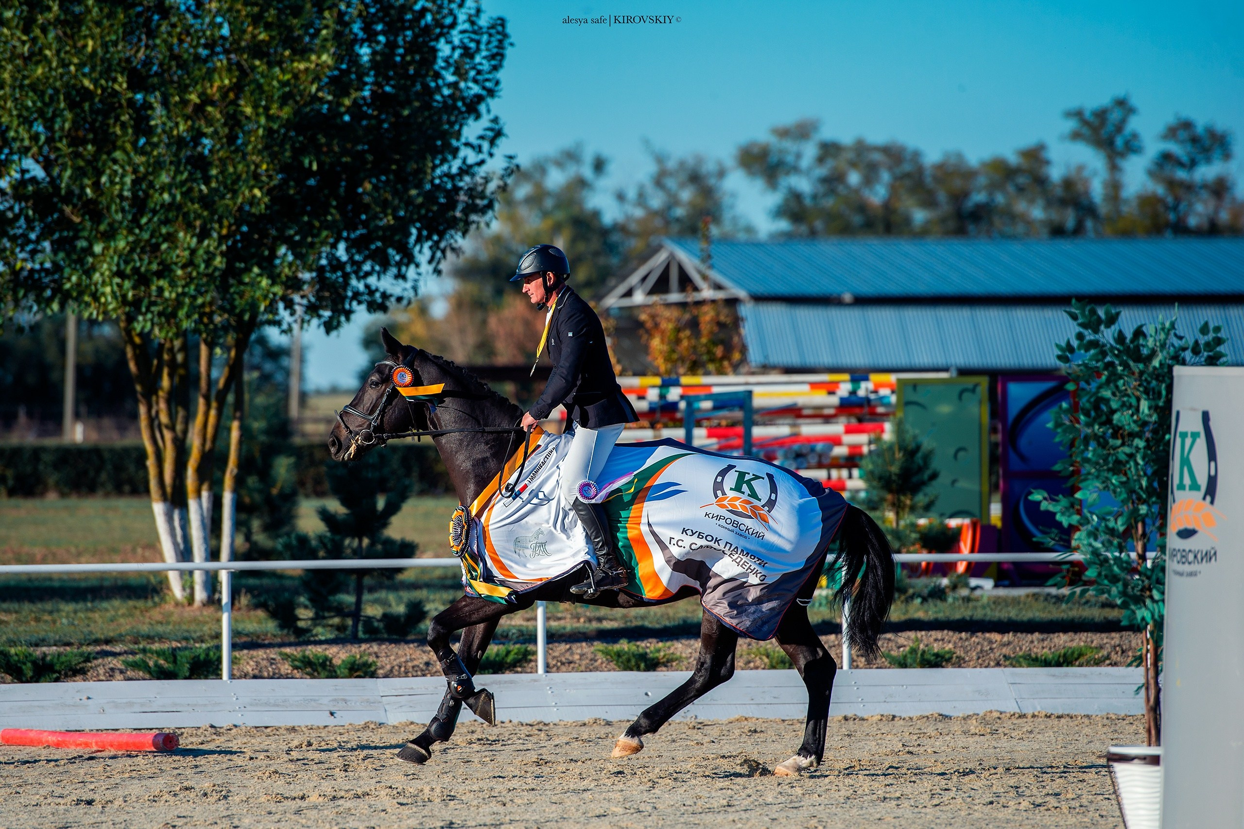 Кировский конный завод. Конный фотограф Alesya Safe