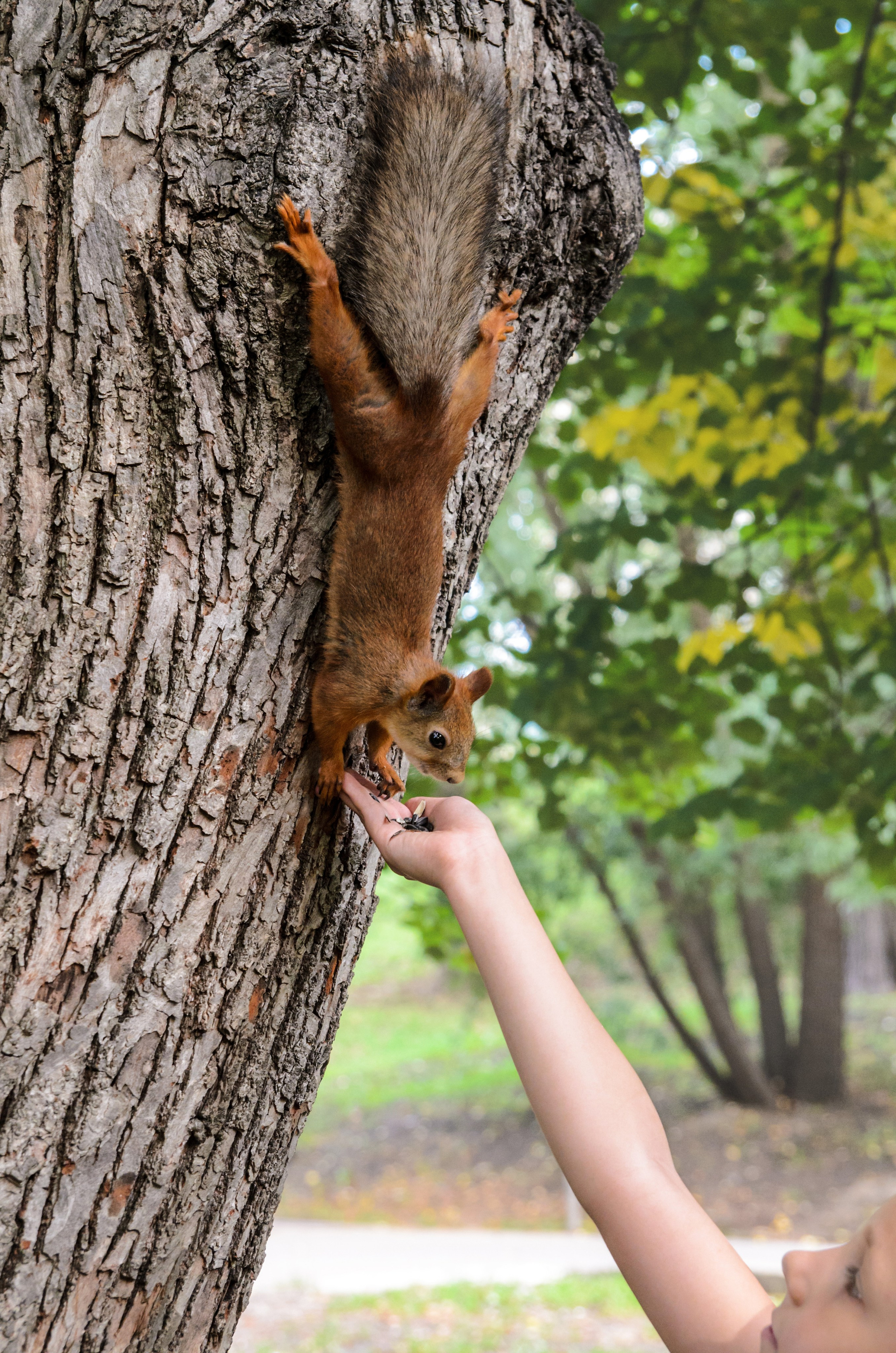 Животные. Фото, видео, монтаж