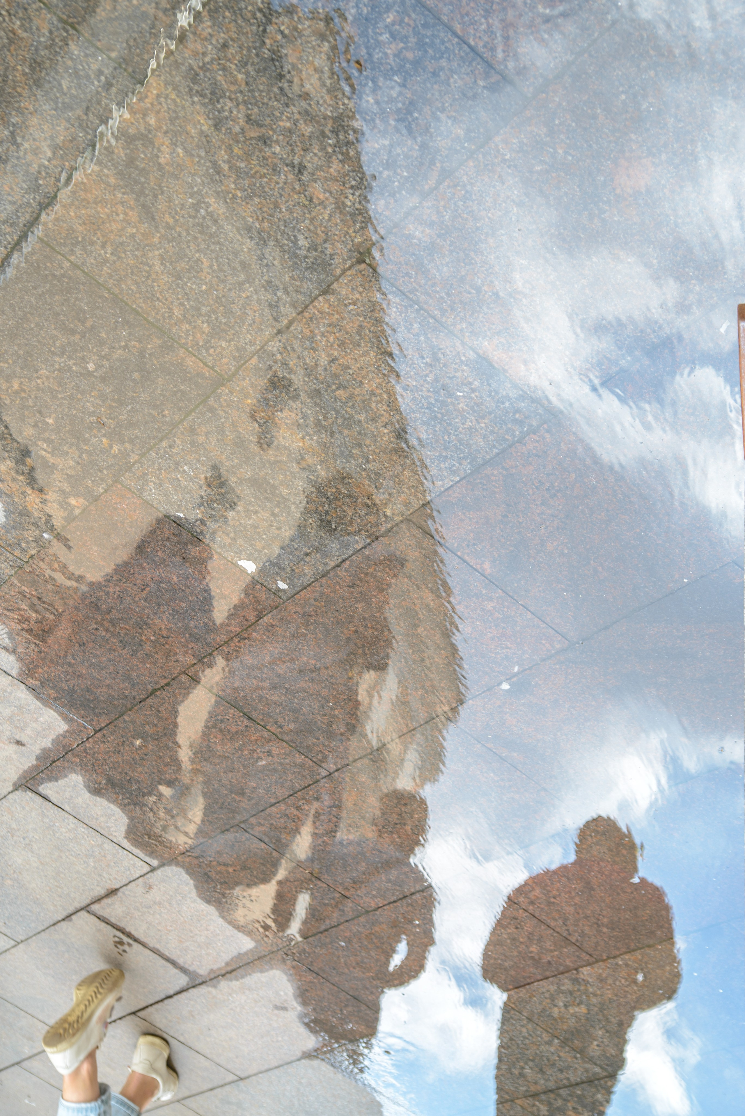 Репортаж. Фото, видео, монтаж