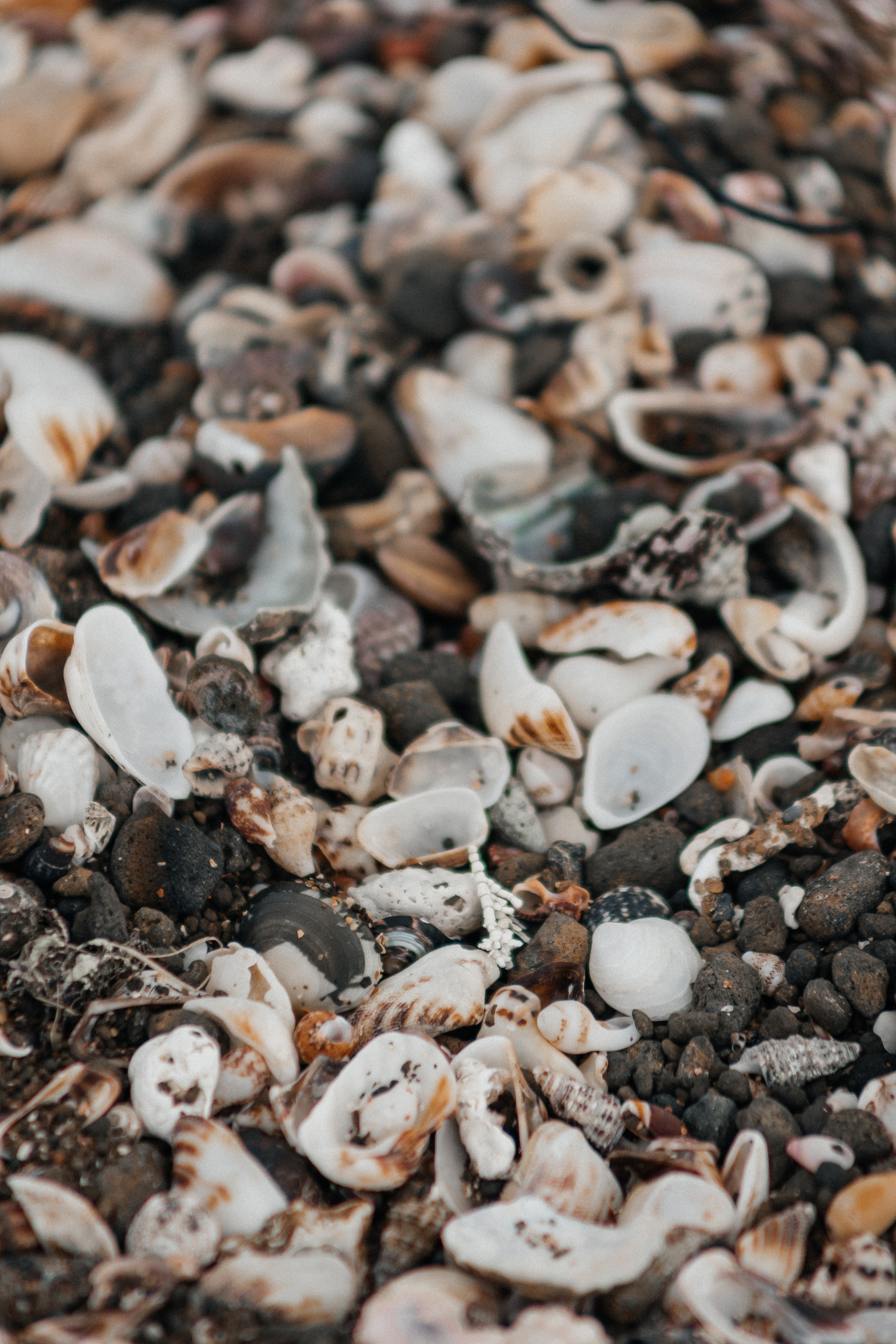 Jeju, South Korea. Свадебный фотограф Москва и МО Паншина Дарья