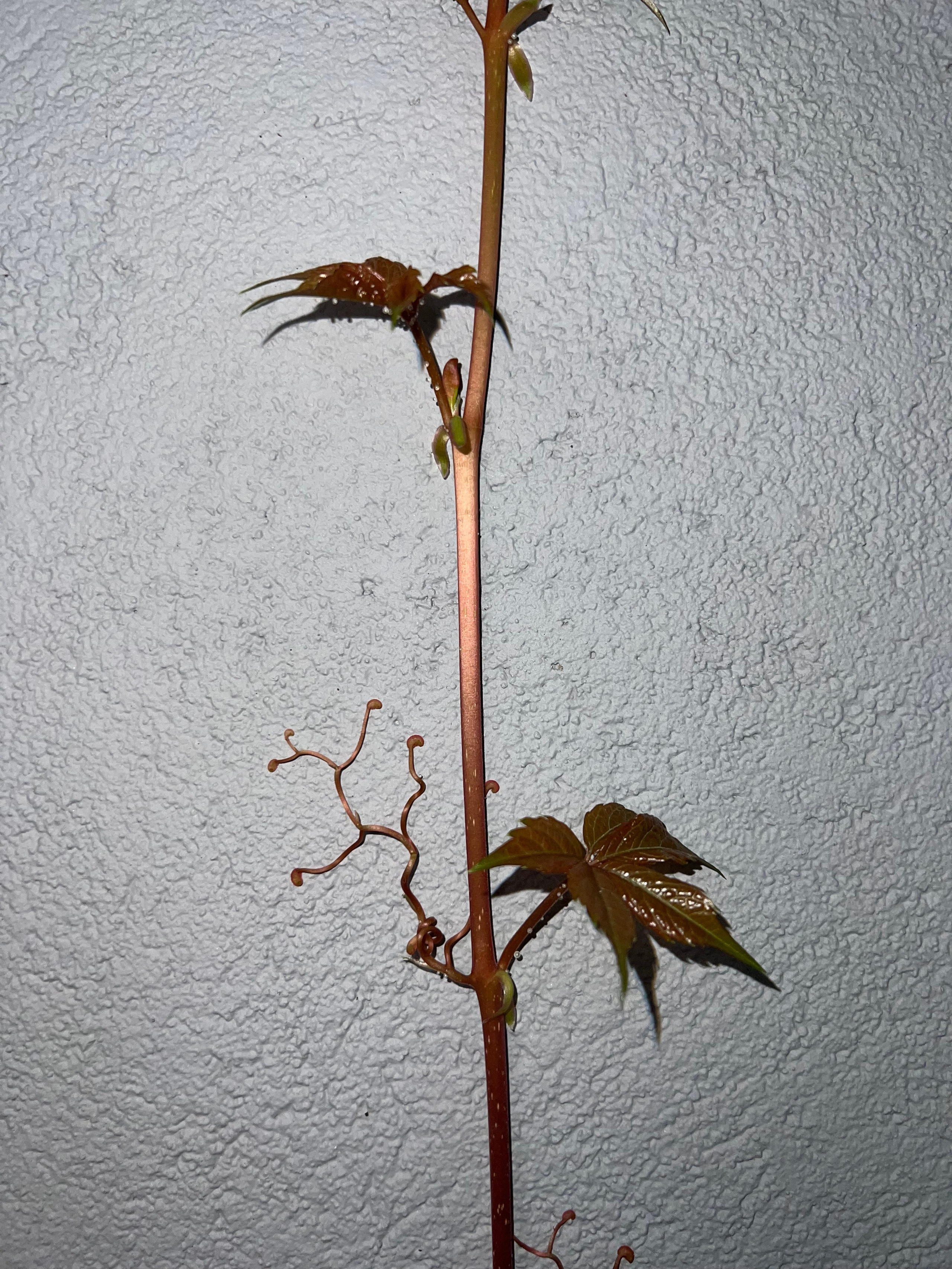 Fragments. Artem Khusainov