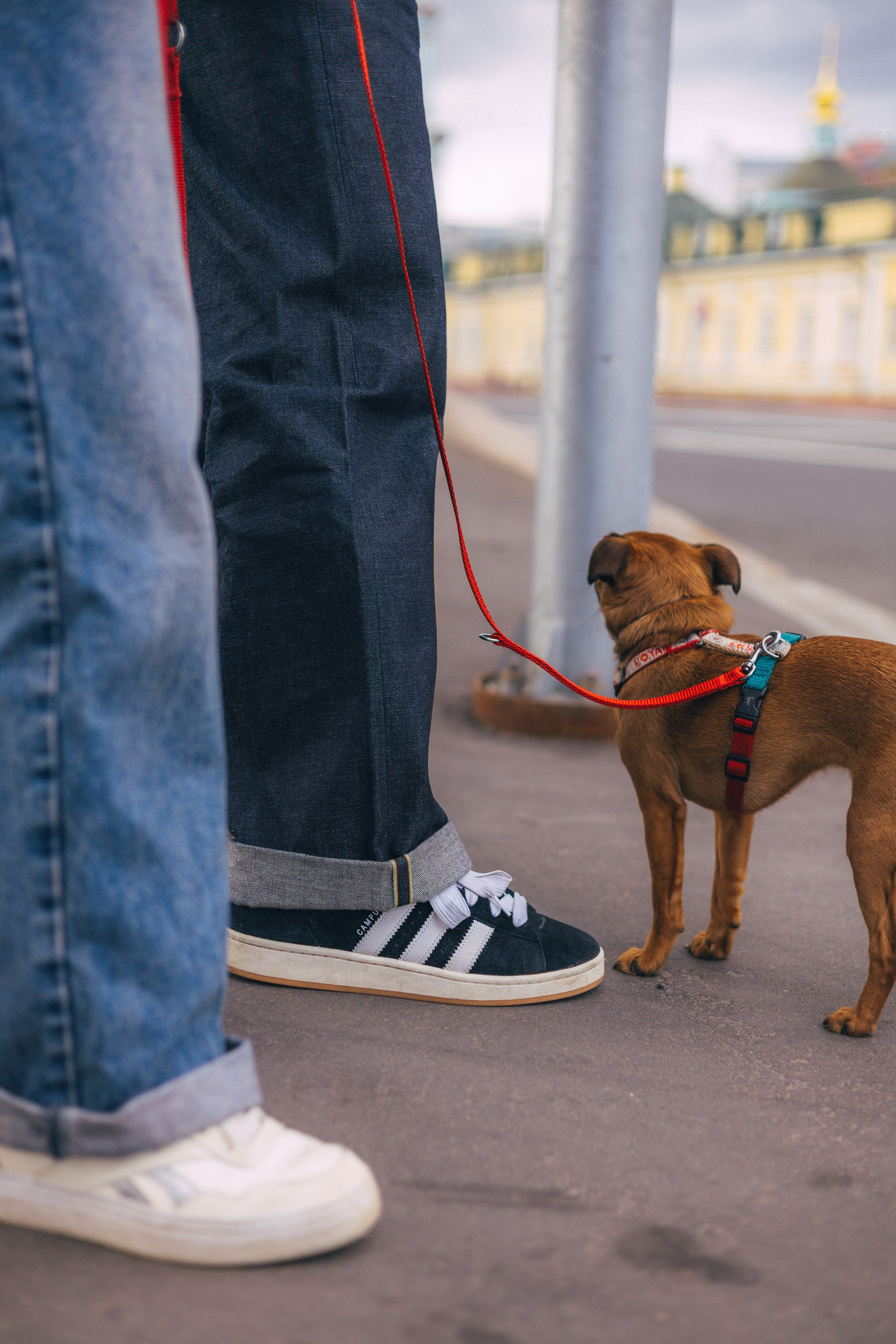Lovestory. Свадебный фотограф в Москве Александра Соболева |Weddings, people, travel, etc