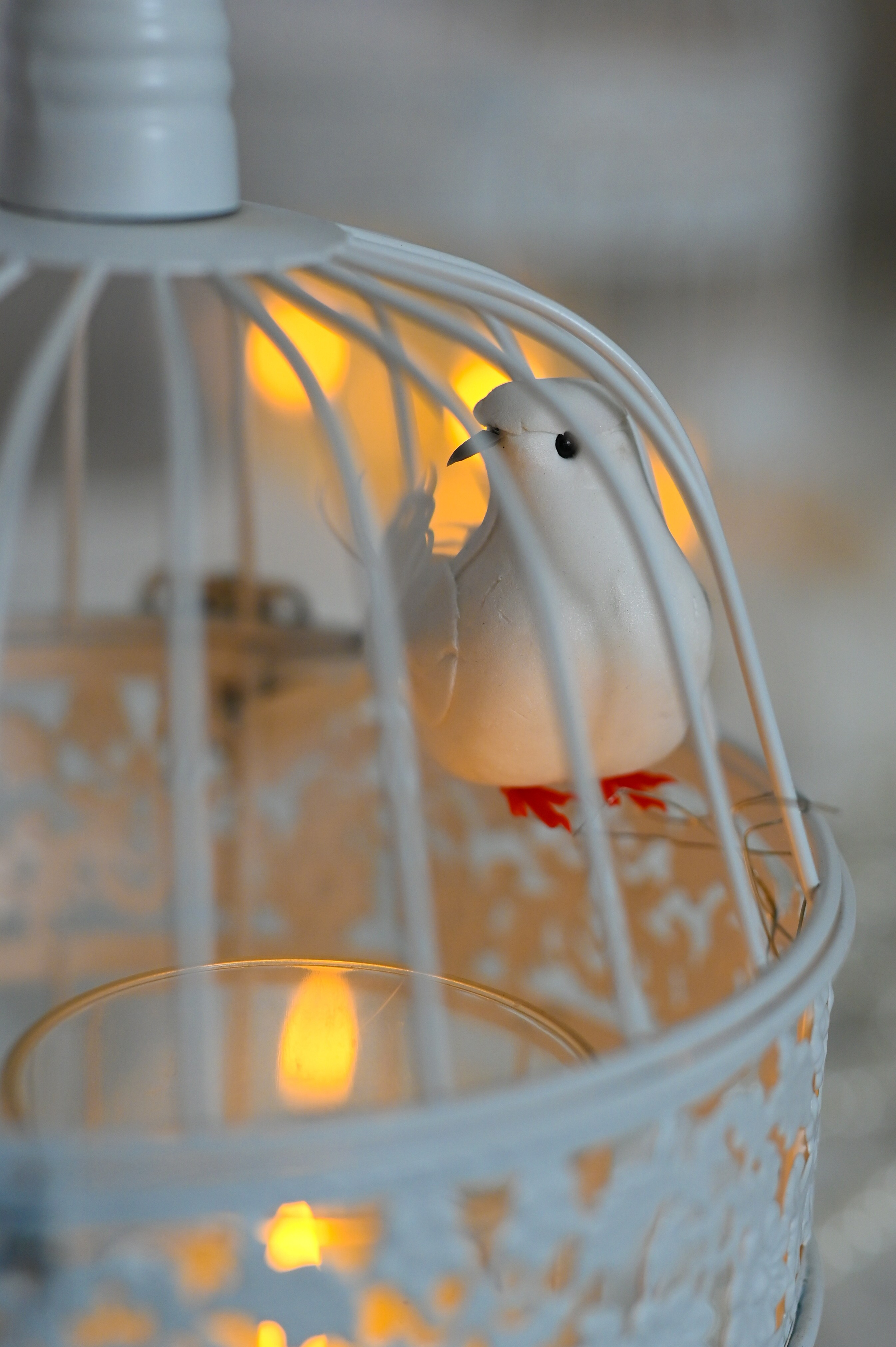 Свадебные. Jimalphoto.ru