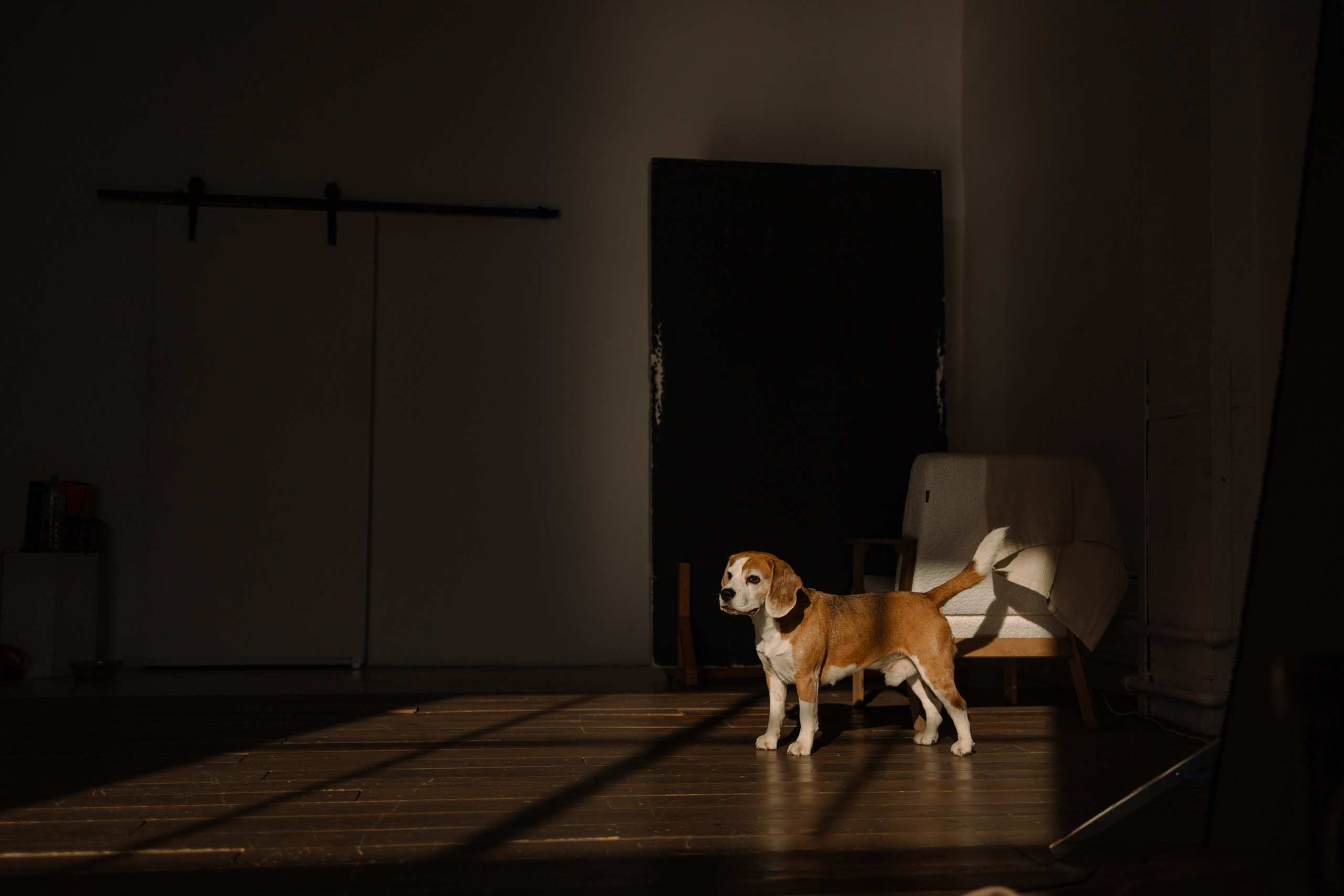 Даня и его семья. Фотограф — Анималист | Санкт-Петербург