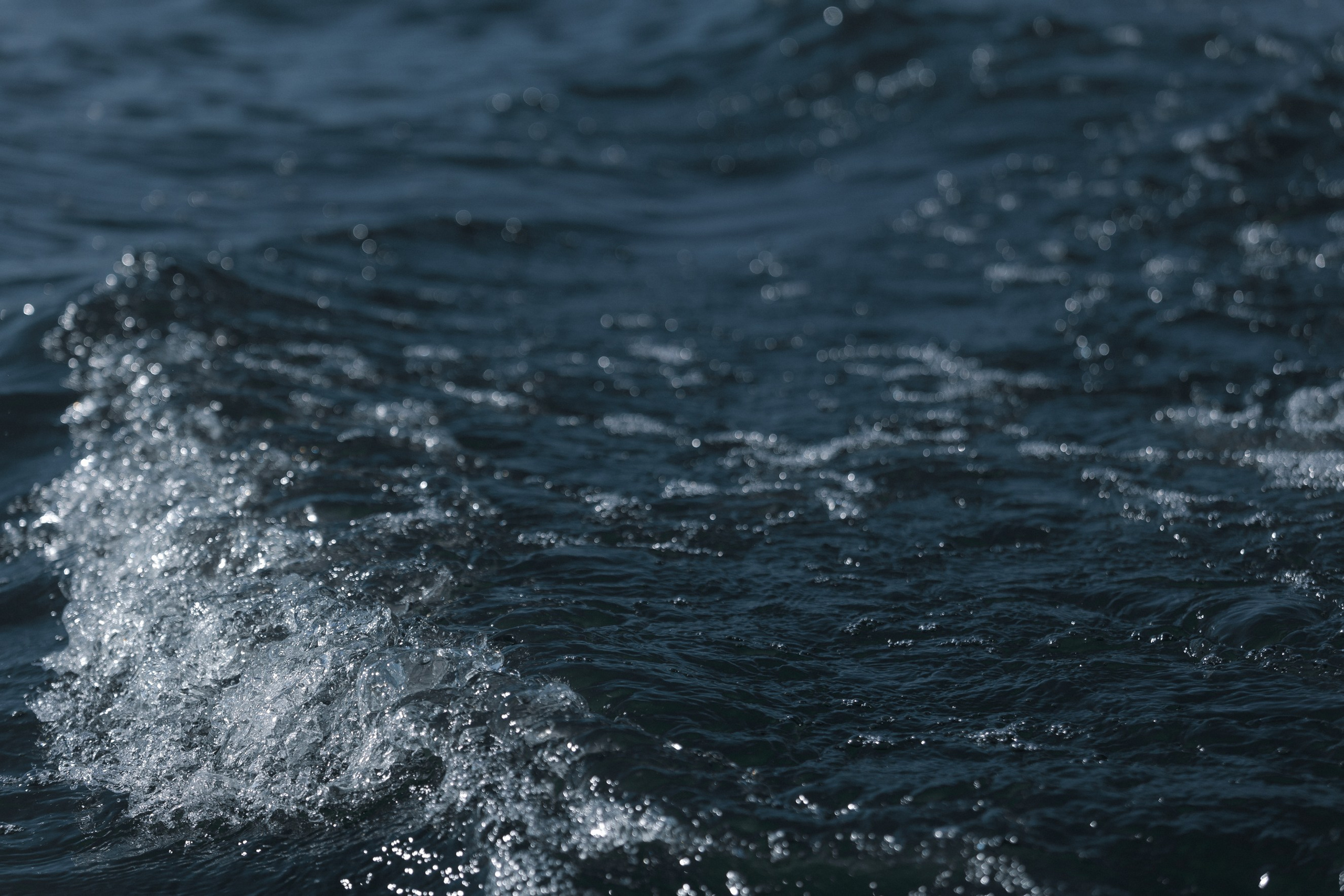 В ритме волн. Свадебный фотограф в Воронеже Екатерина Краснова