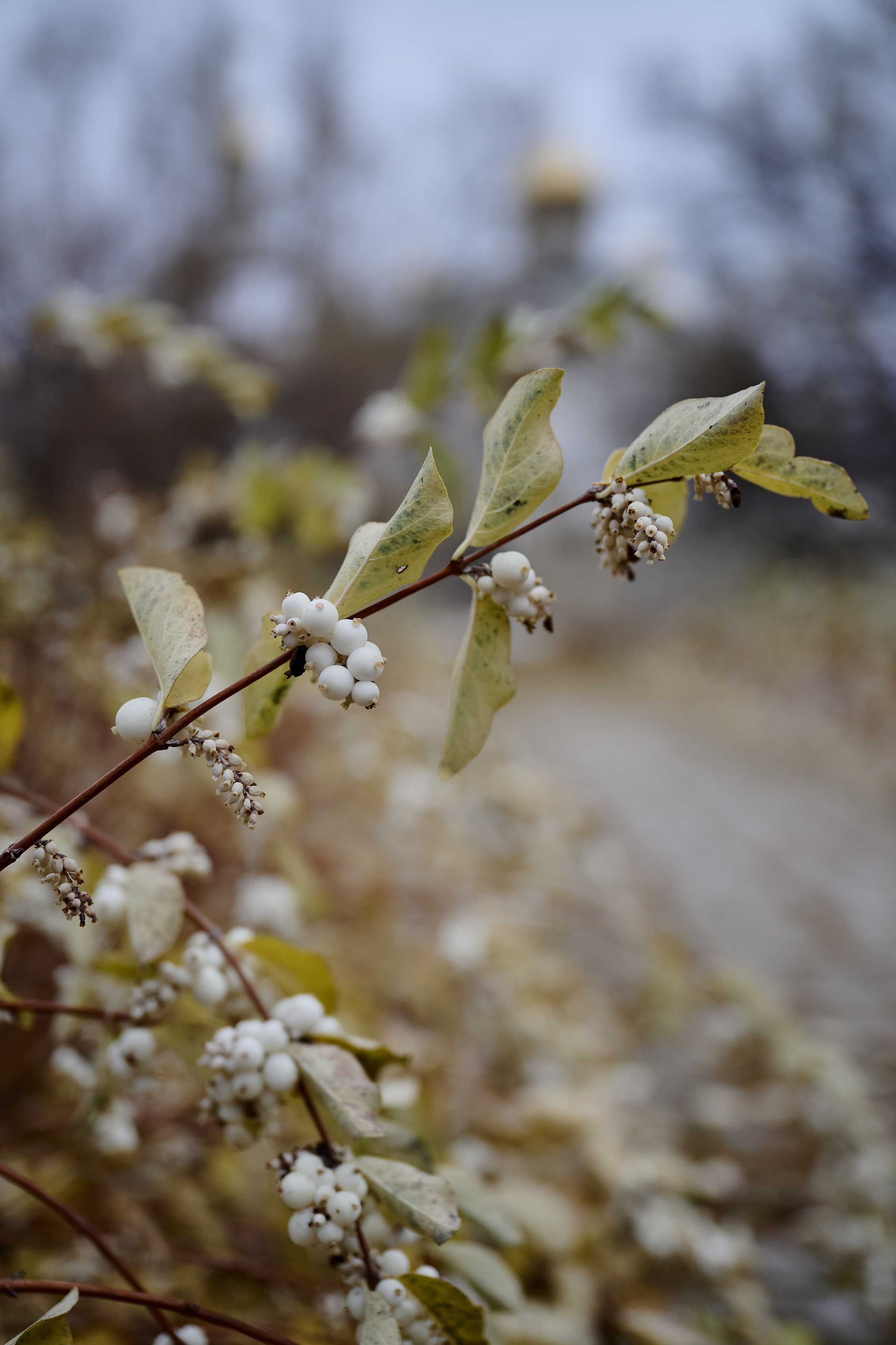 Рубежное. Луганская область. Фотопроект «Территории»