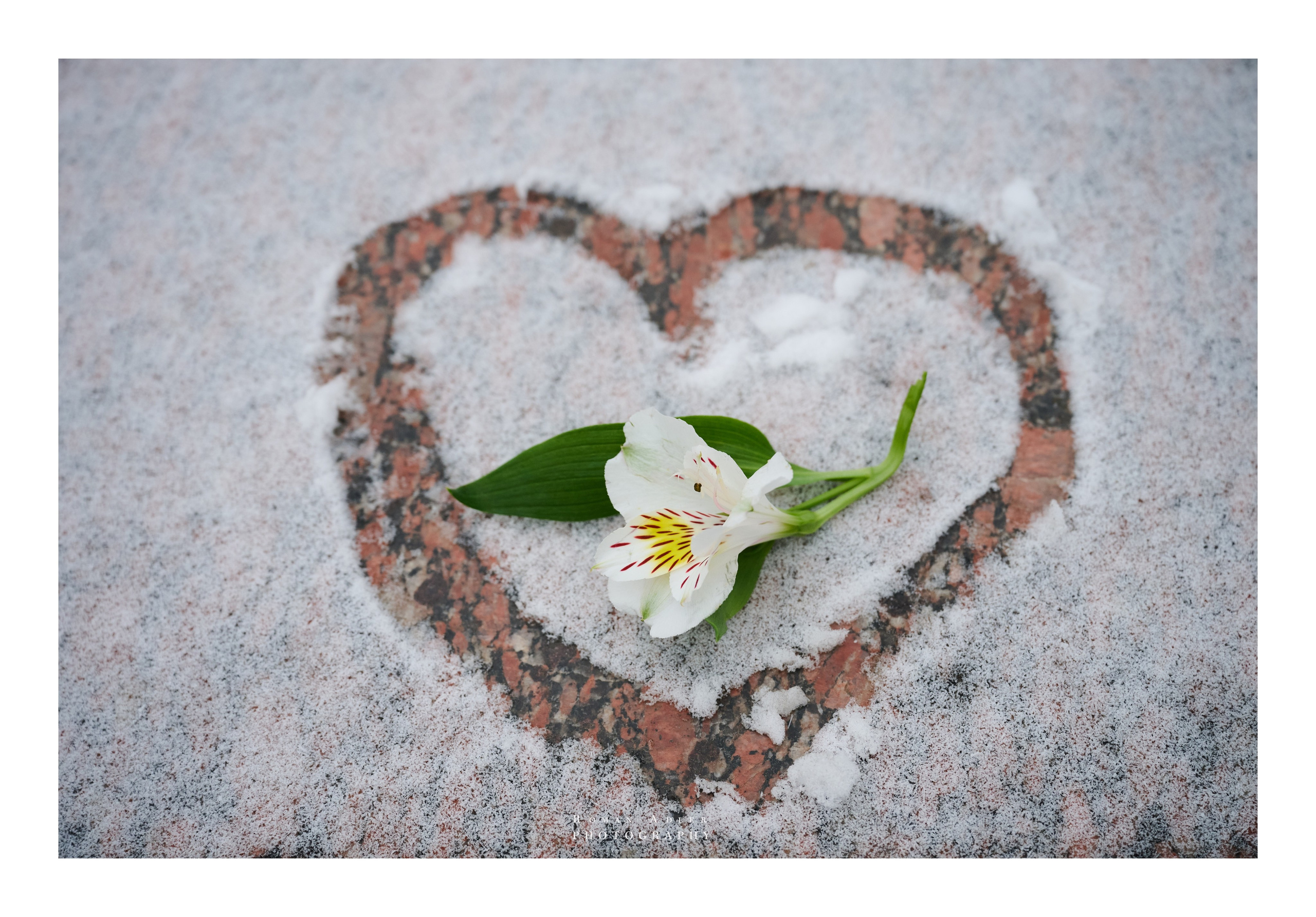 Фотопринты А3. Фотопроект «Территории»