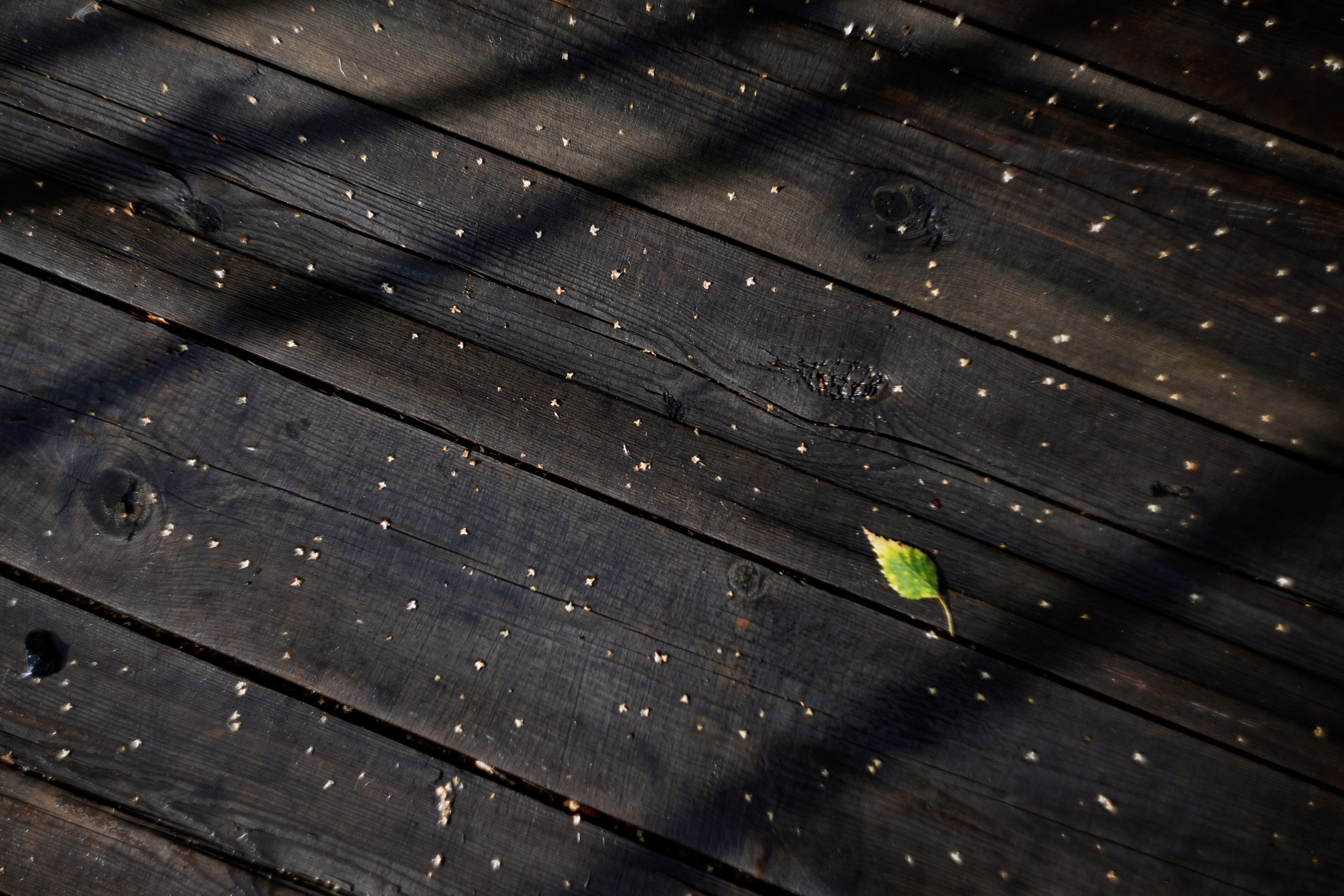 10.08.2023 Дмитрий и Виктория. Фотограф в Красноярске