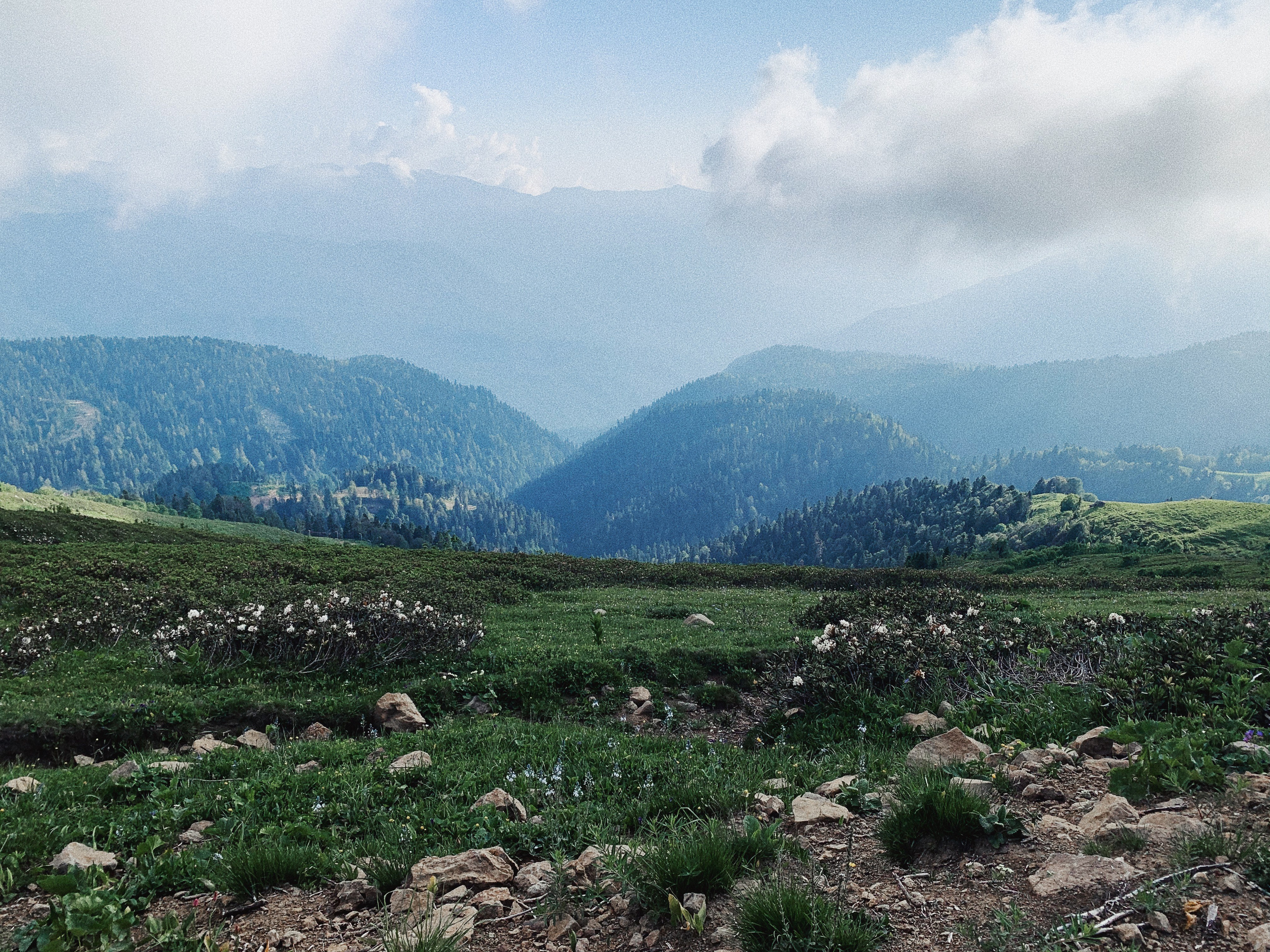 Автор: Туяра Местникова