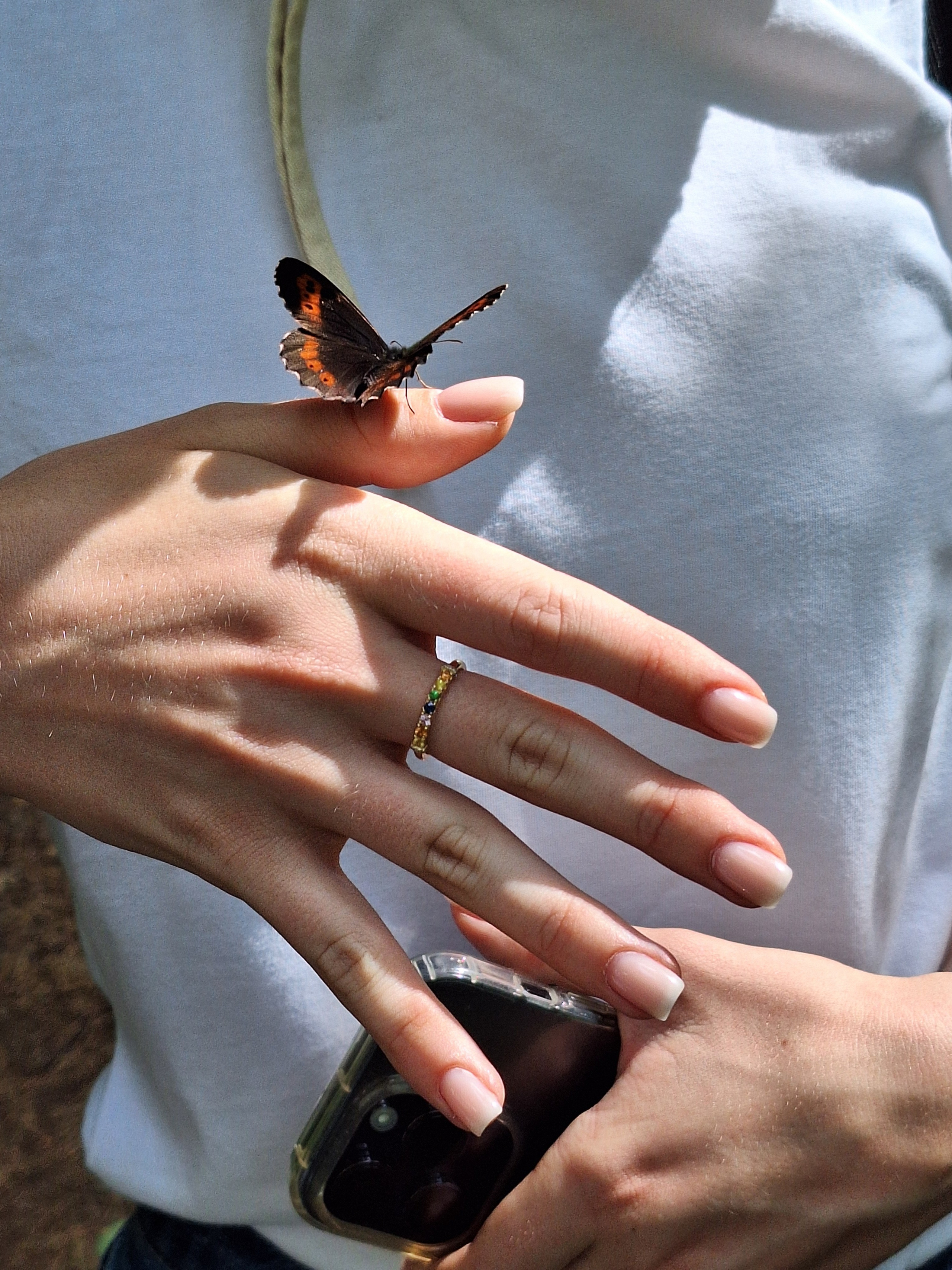 Автор: Екатерина Серебровская