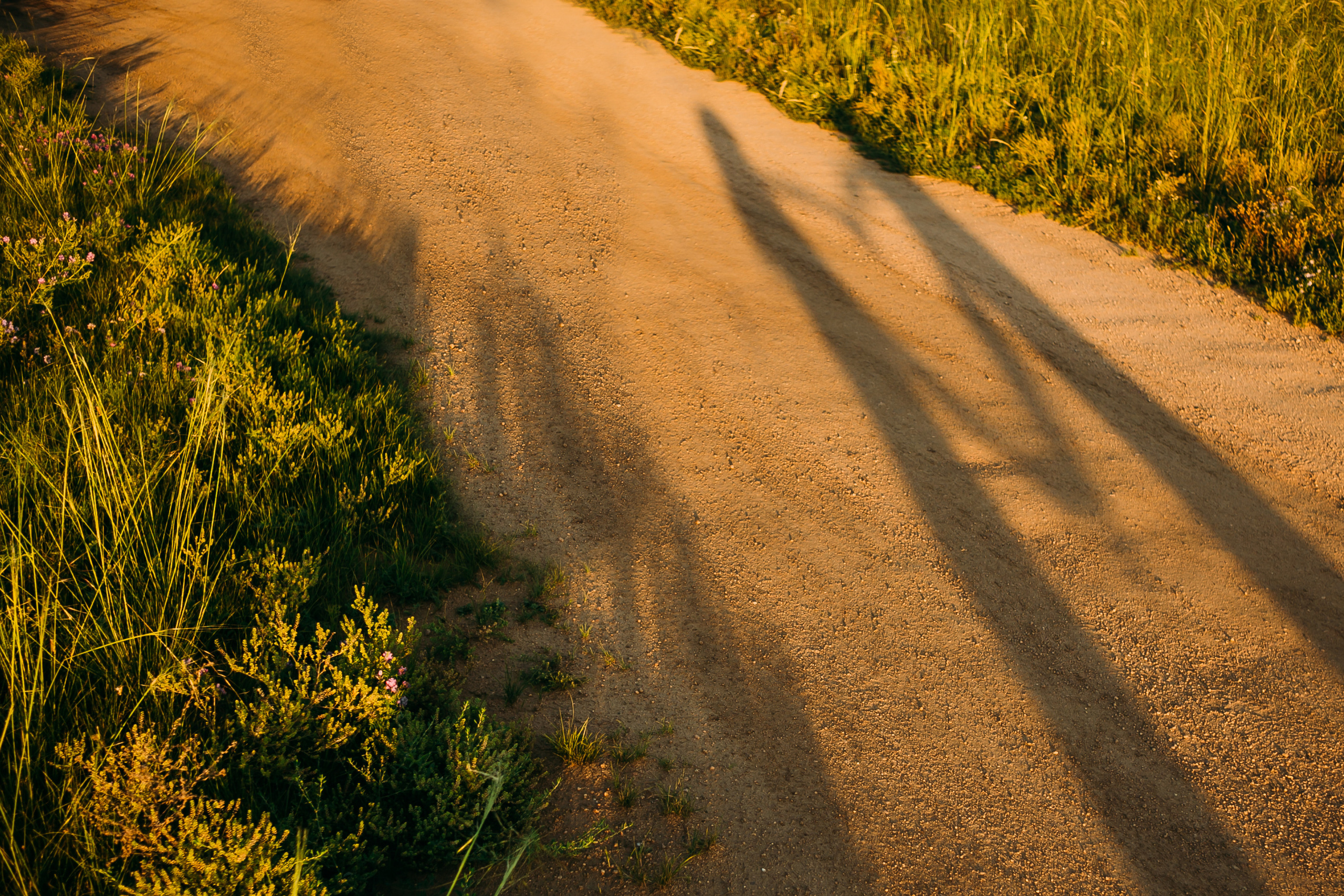 Артём и Оля. Фотограф Бурятии София Андриянова