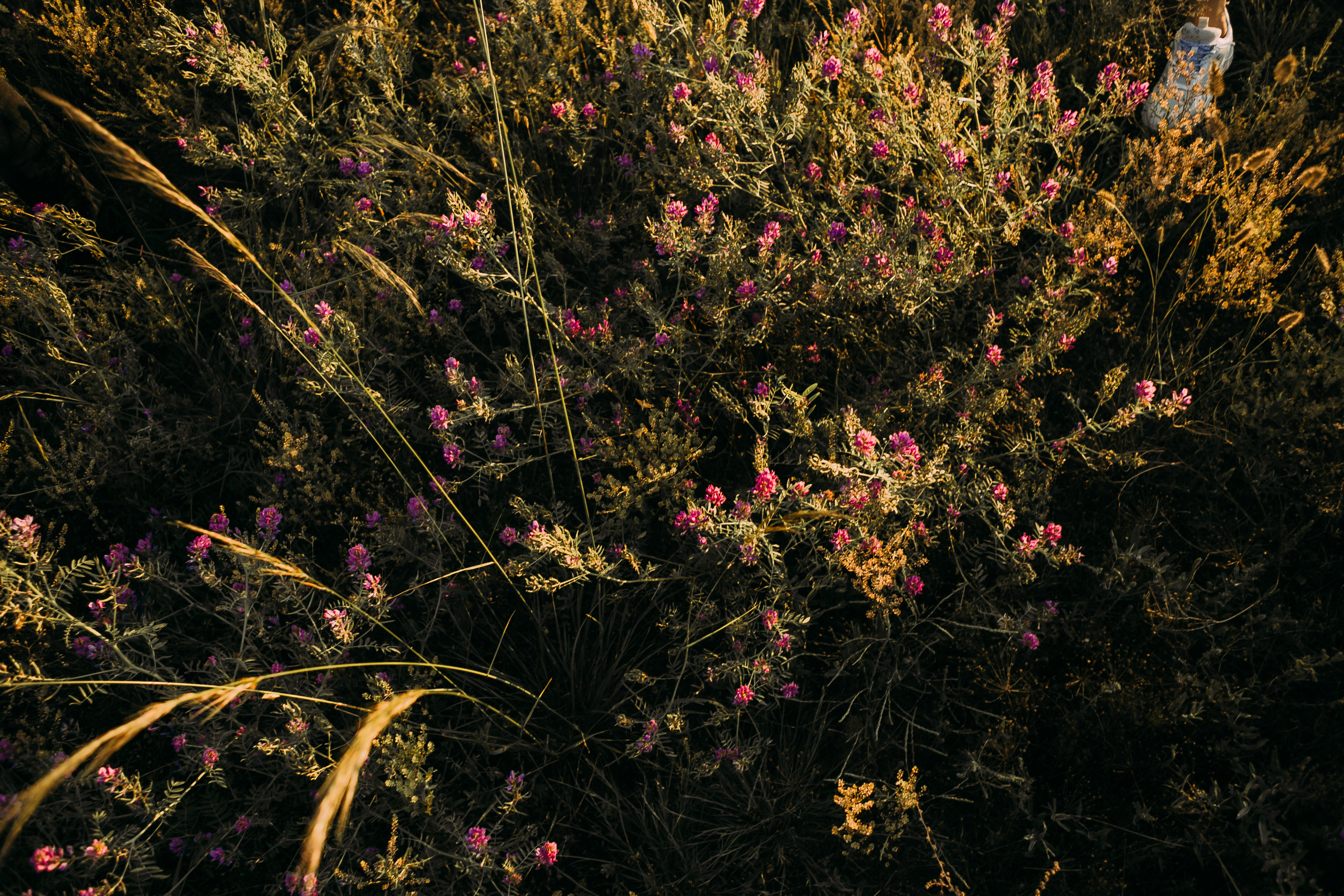 Артём и Оля. Фотограф Бурятии София Андриянова