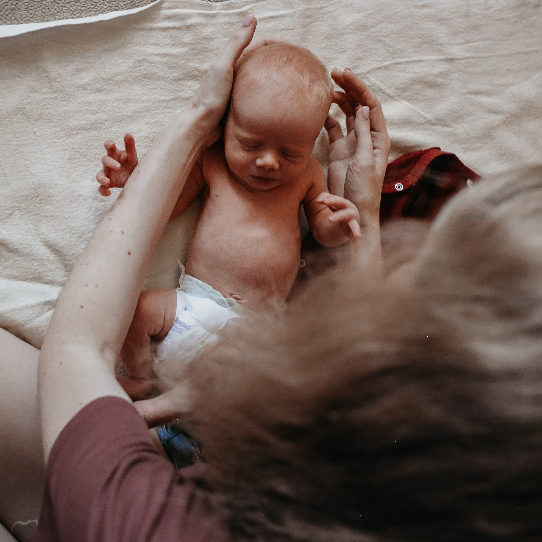 Теперь трое. Фотограф Бурятии София Андриянова