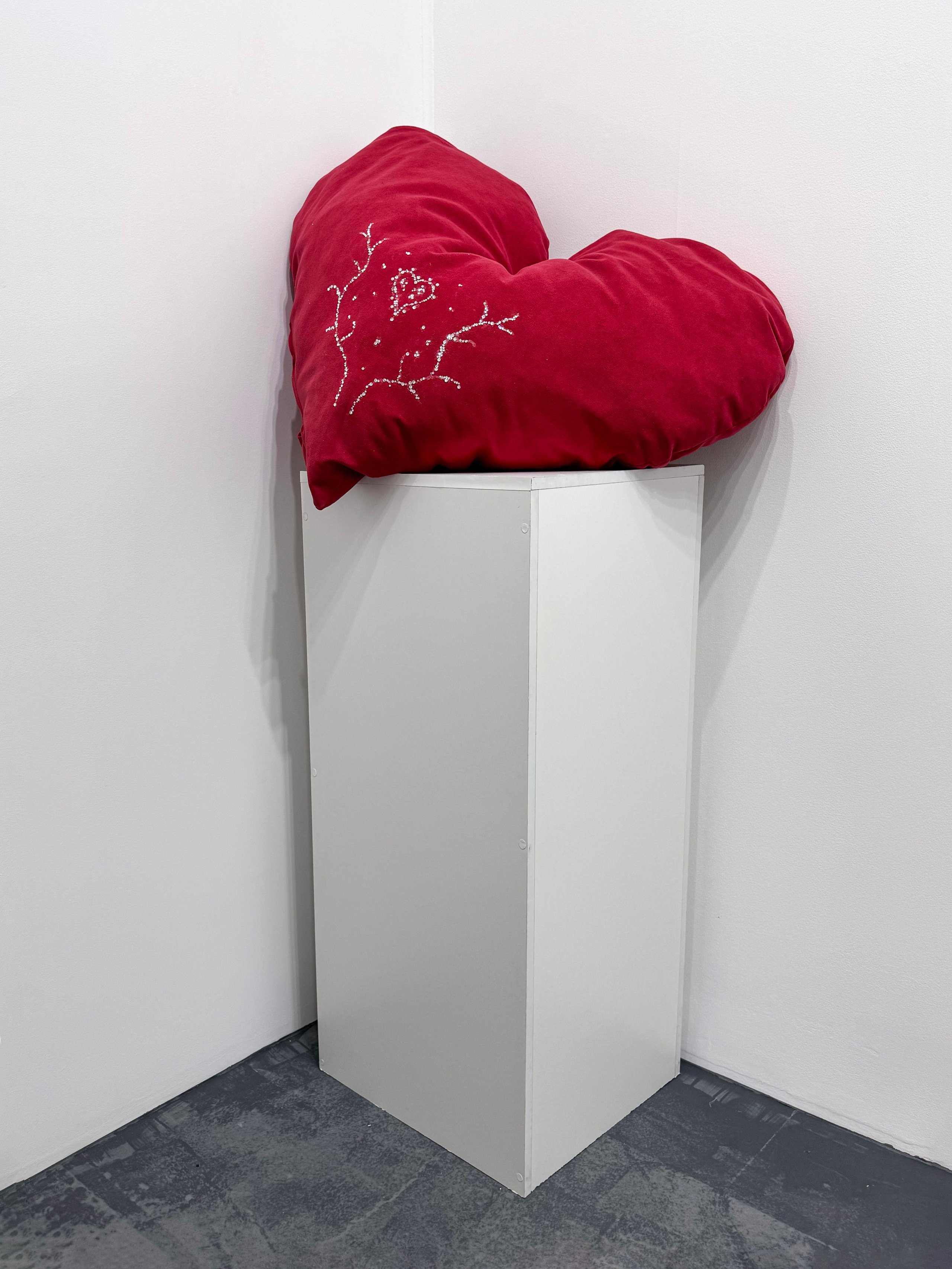 «ТЦСИ», выставка группы Дом Культуры, 26.07-10.08, пространство пробел, Ростов-на-Дону. Лера Круглова