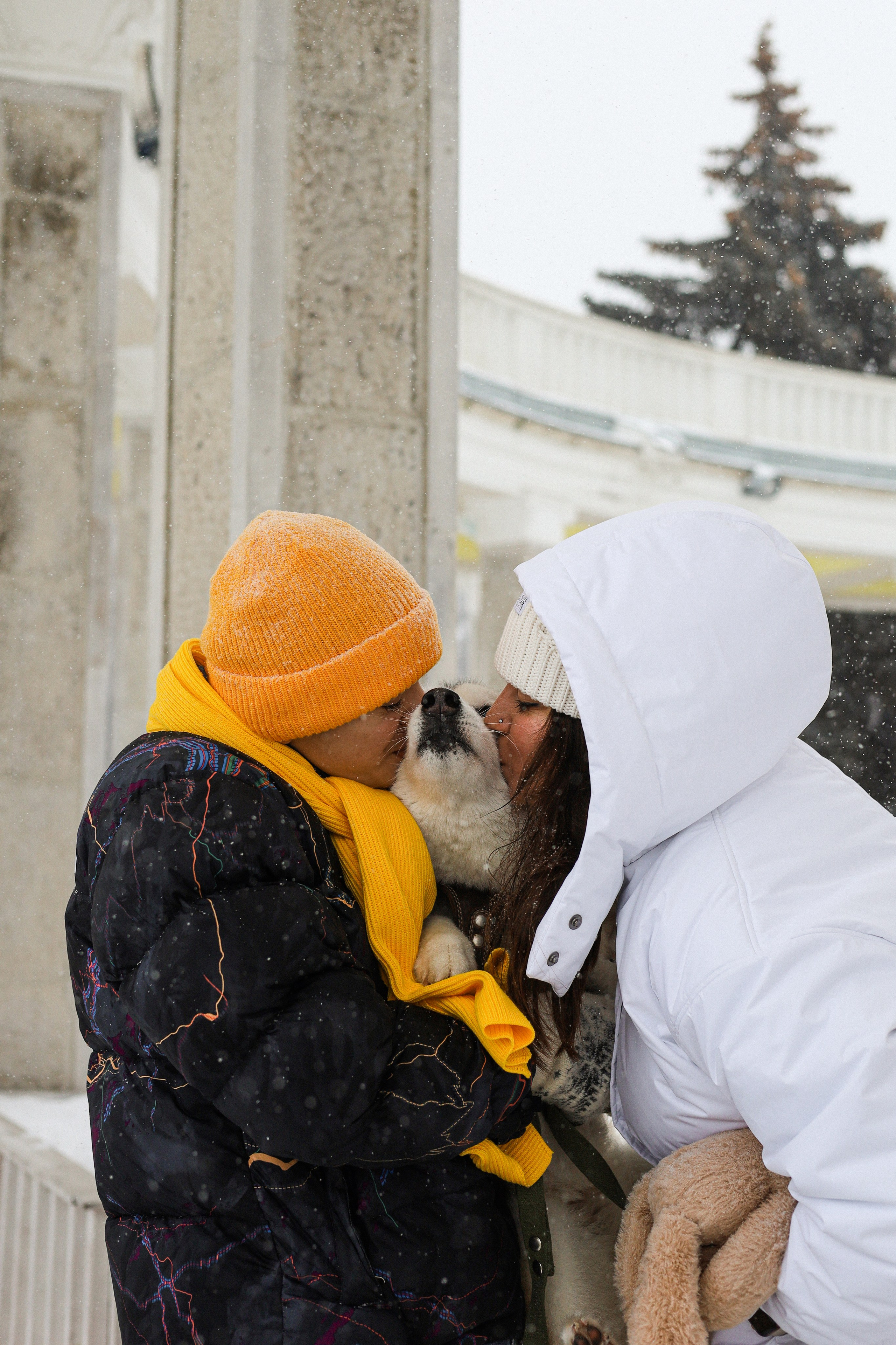 Мила, Лиза и Матвей. Фотограф-анималист Ксения Шевцова|Москва