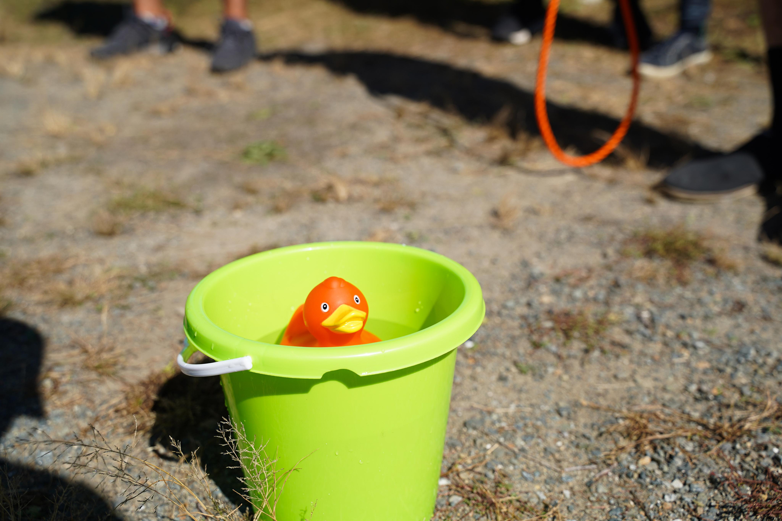 Порт за спорт. Находкинский МТП. Антарес, 2023 г. Фотограф в Находке Сальникова Оксана