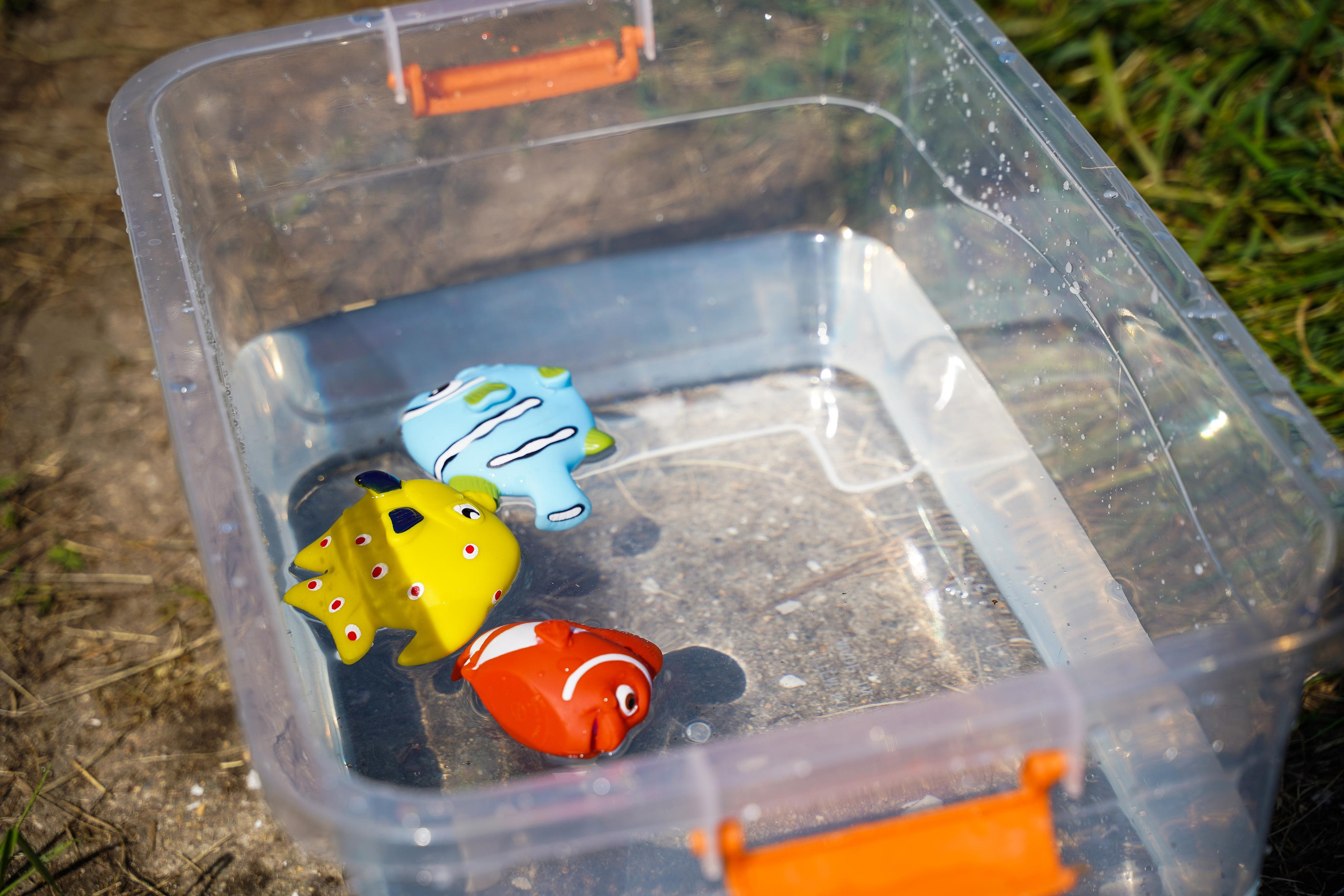 Порт за спорт. Находкинский МТП. Антарес, 2023 г. Фотограф в Находке Сальникова Оксана