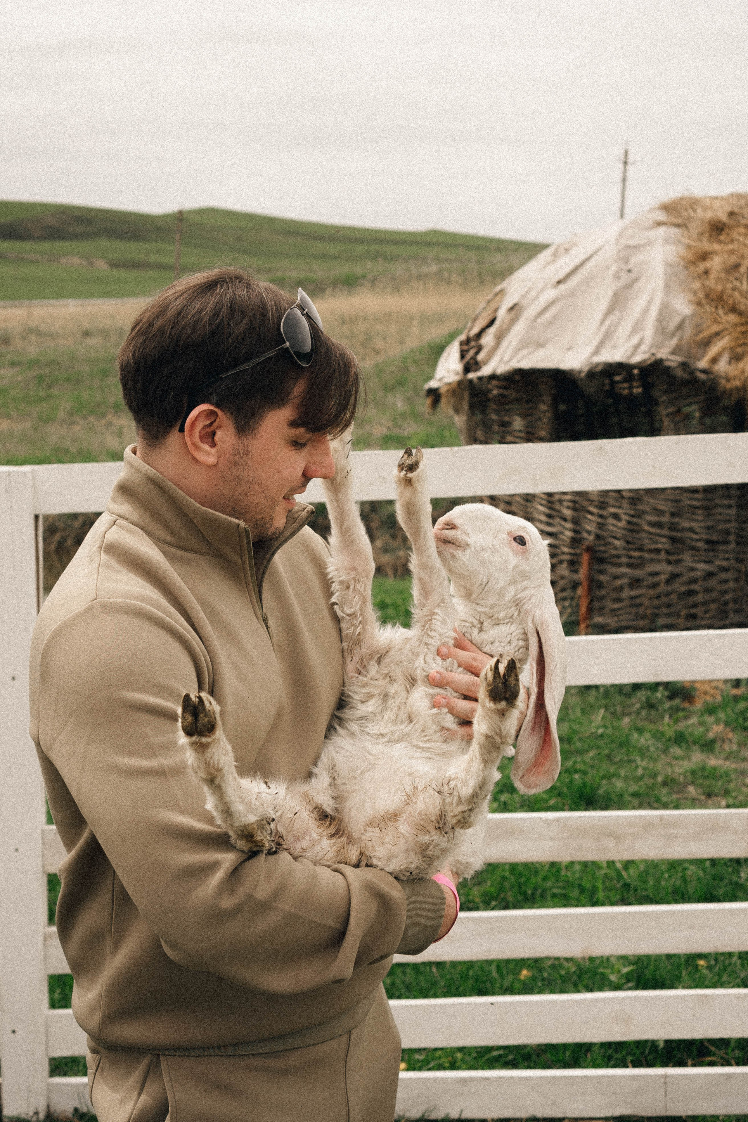 Ферма Альпак. Профессиональный фотограф, Санкт-Петербург — Виктория Богомолова