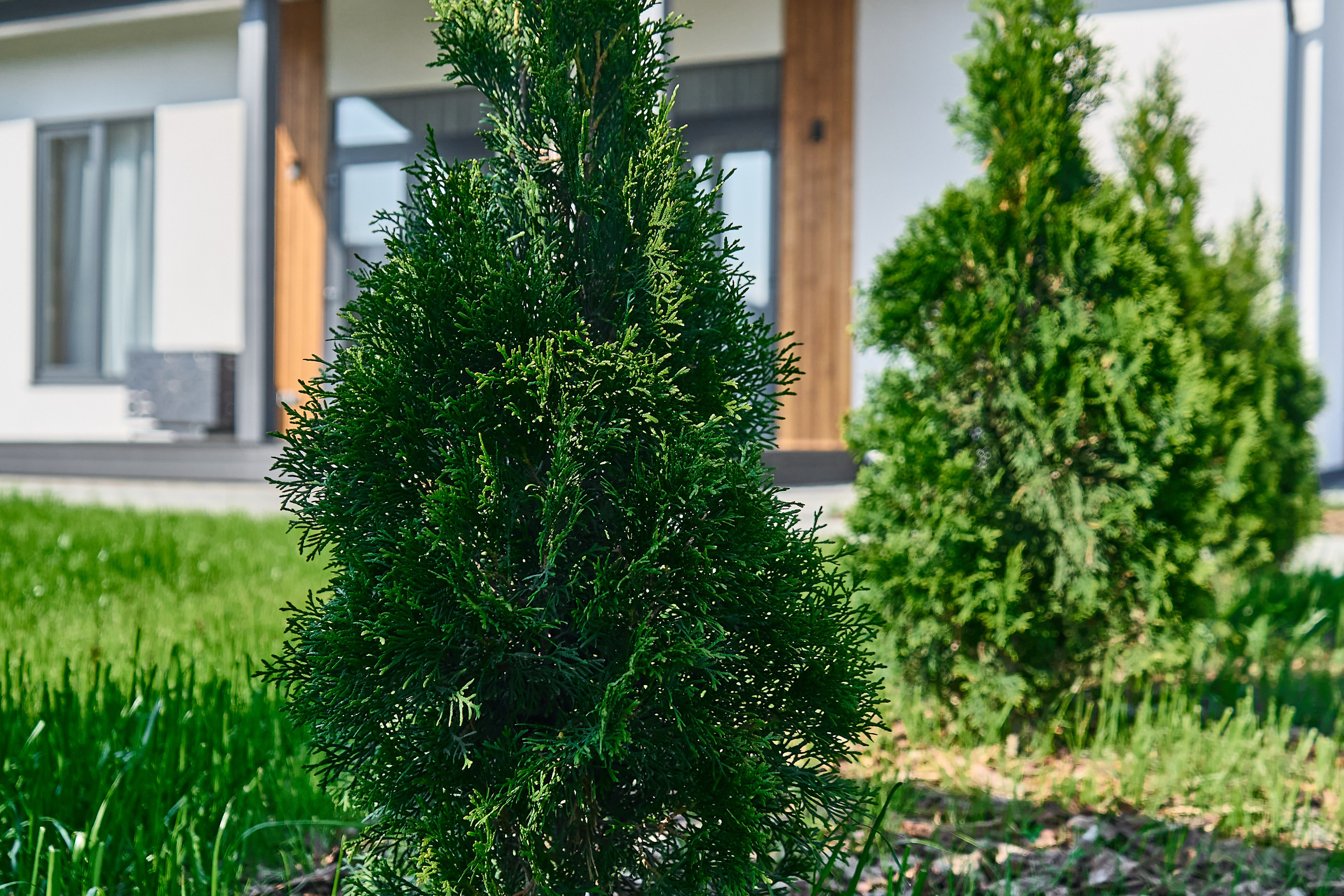 ЗАГОРОДНАЯ НЕДВИЖИМОСТЬ. Интерьерный фотограф