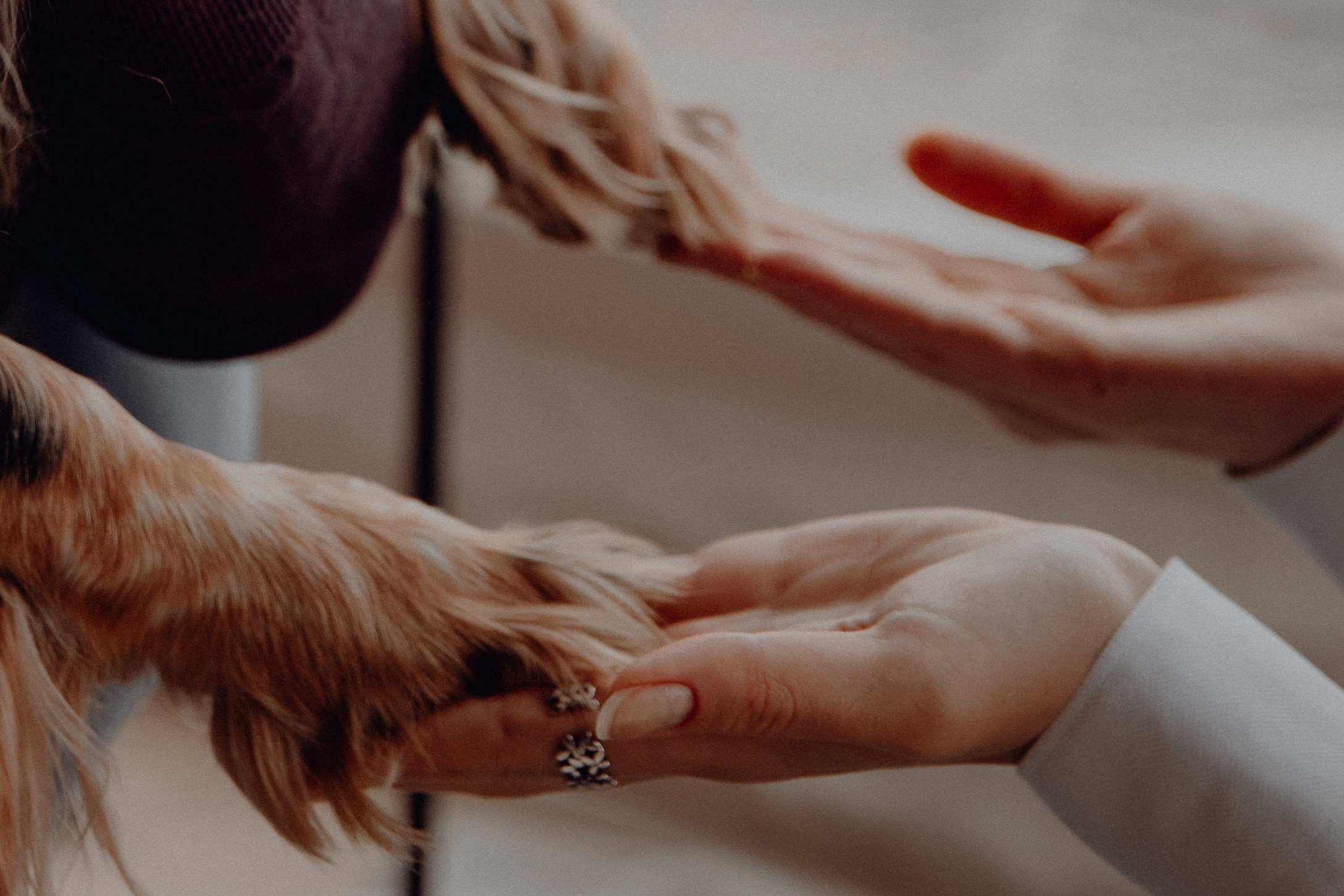 Ася ღ Заур. Портфолио