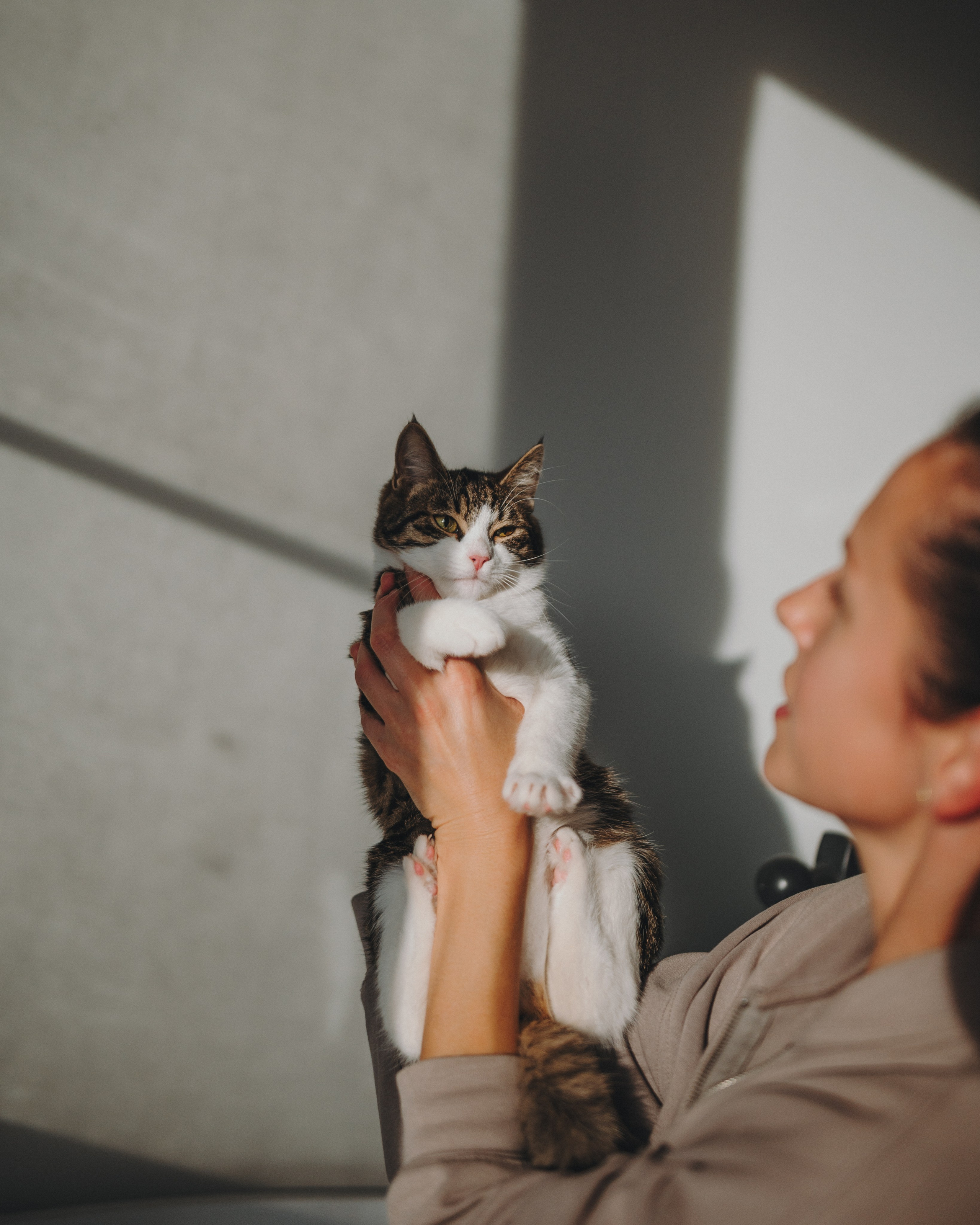 Животные. Фотограф Сочи-Краснодар