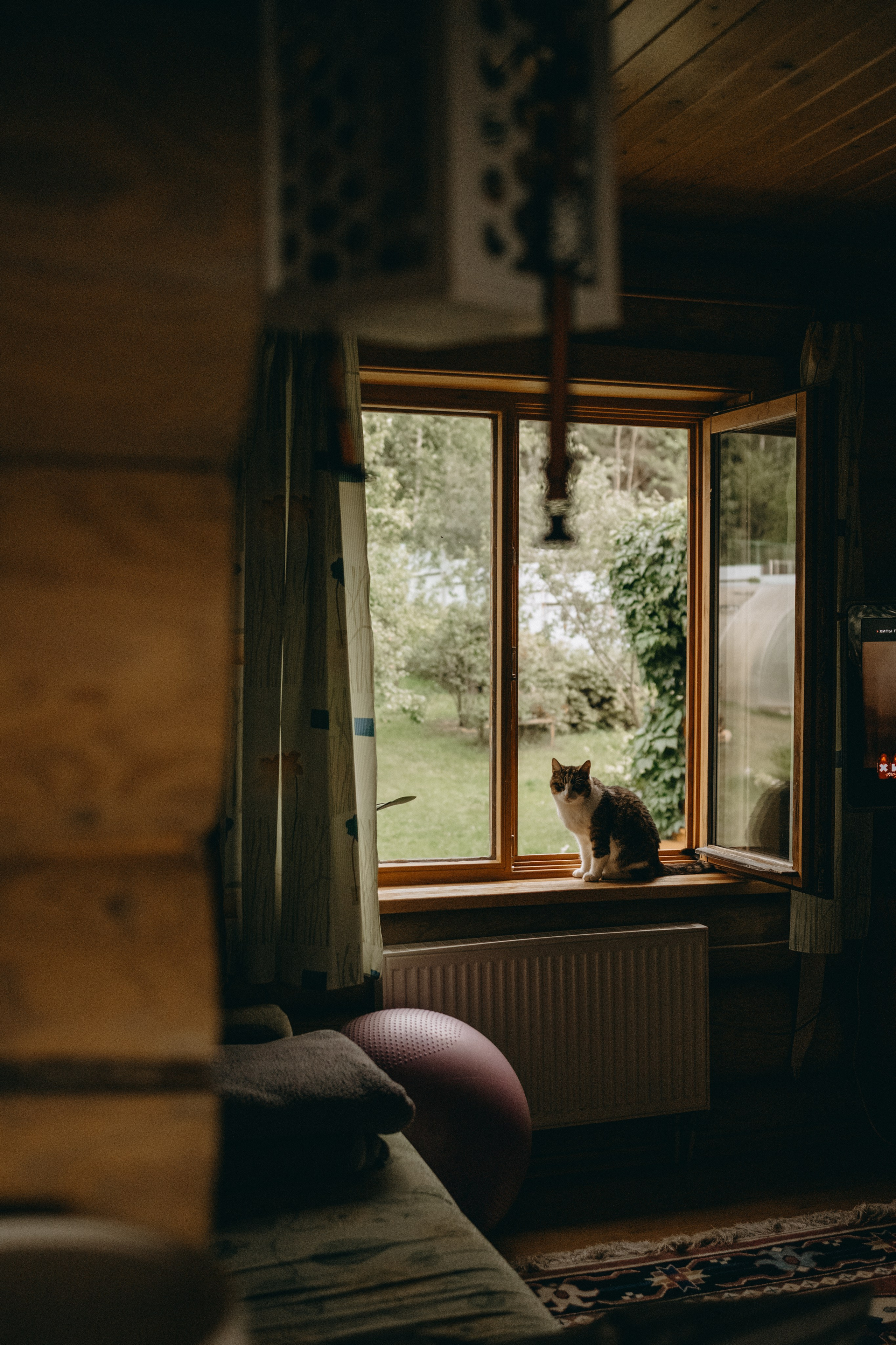 Дом у реки. Фотограф — Анималист | Санкт-Петербург