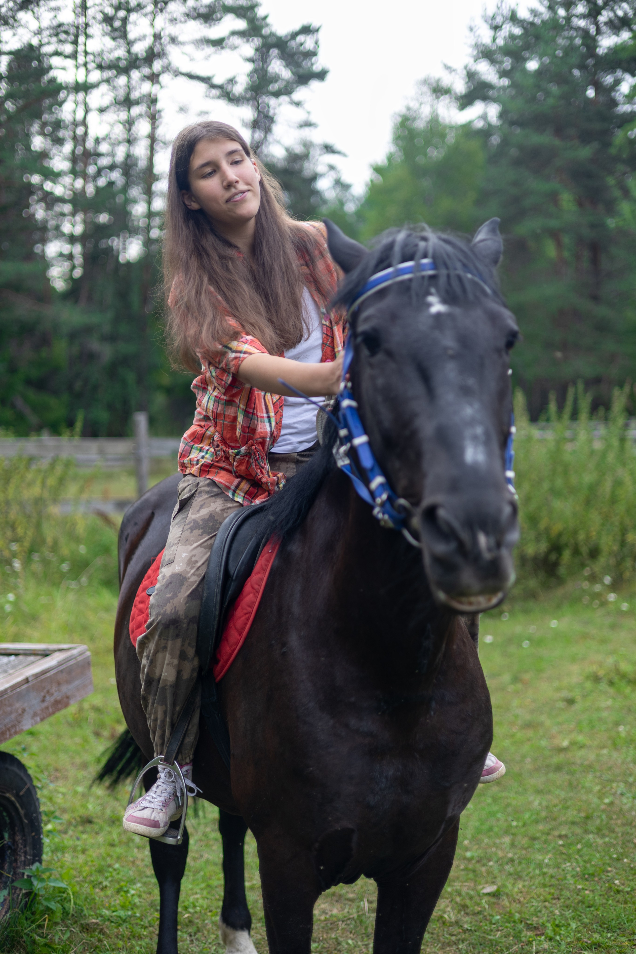 Чародей и Мария