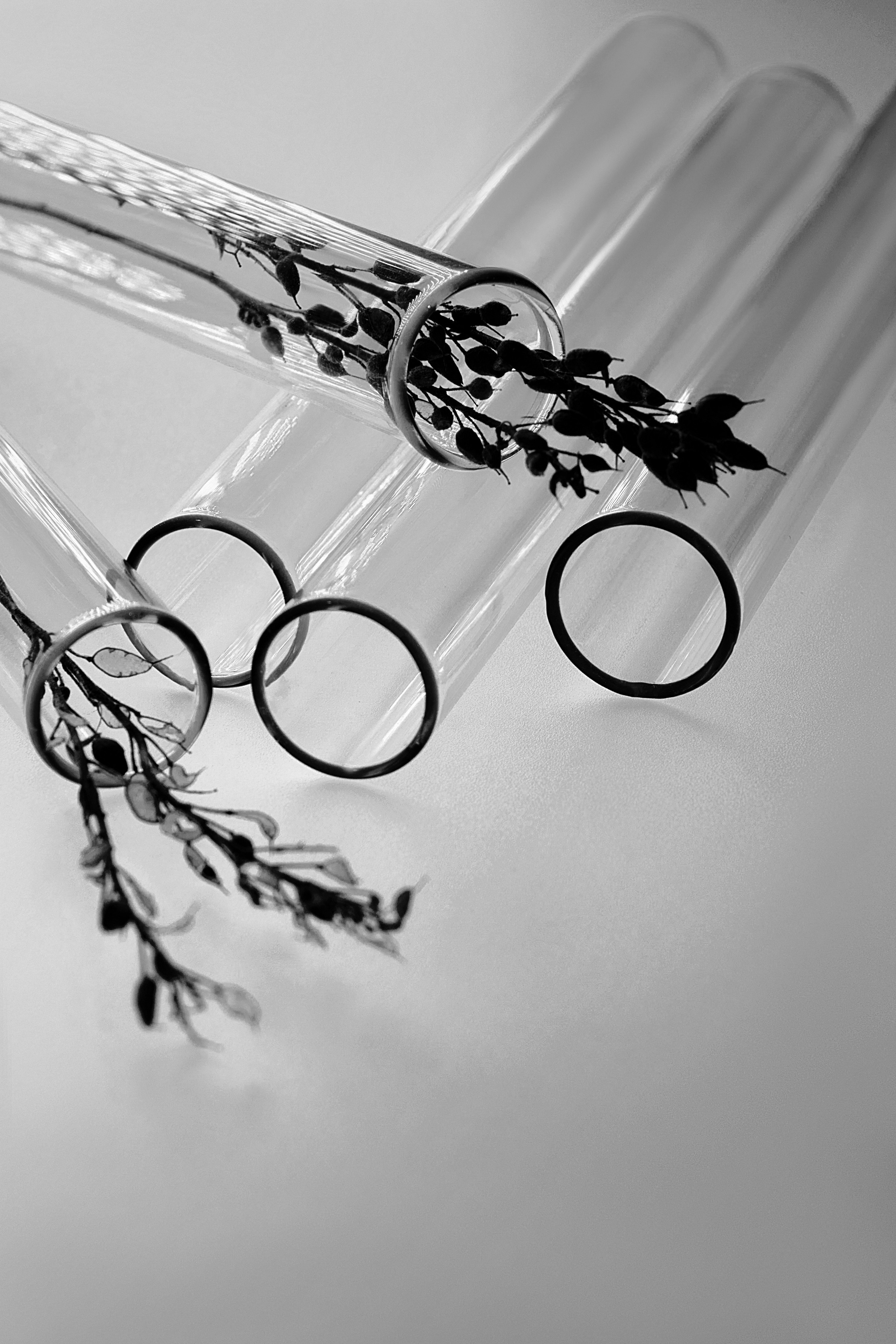 СтекЛо. Ася Ложкина фотограф Ижевск