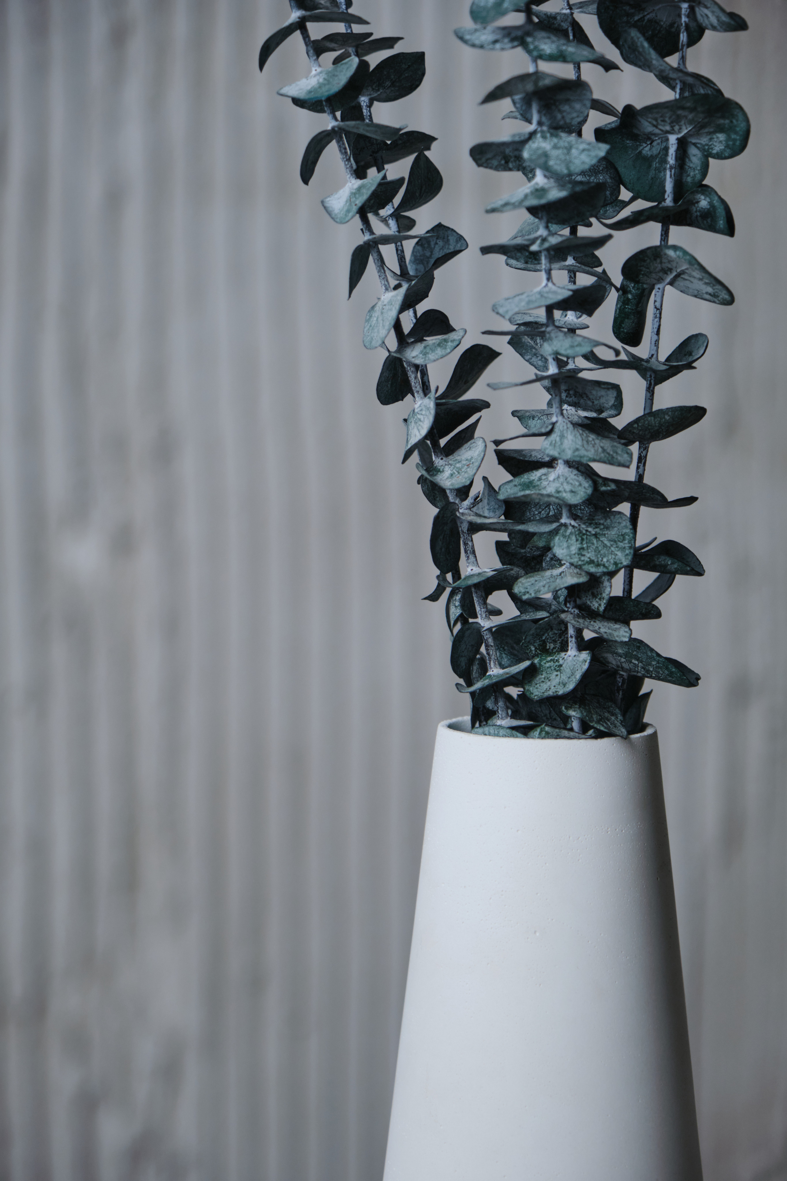 Мuza Home — изделия для декора интерьера. Ася Ложкина фотограф Ижевск