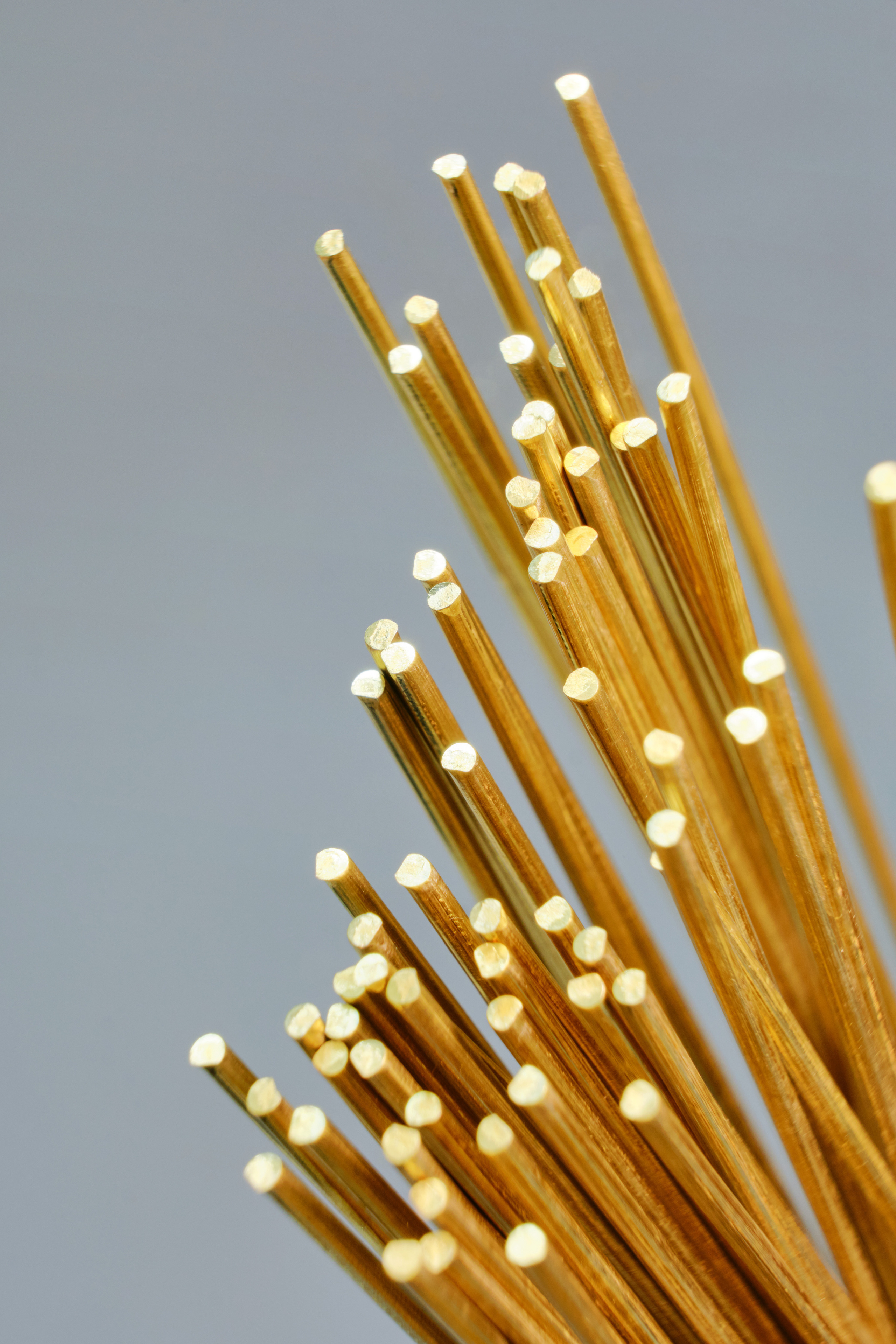 Оловянность. Ася Ложкина фотограф Ижевск