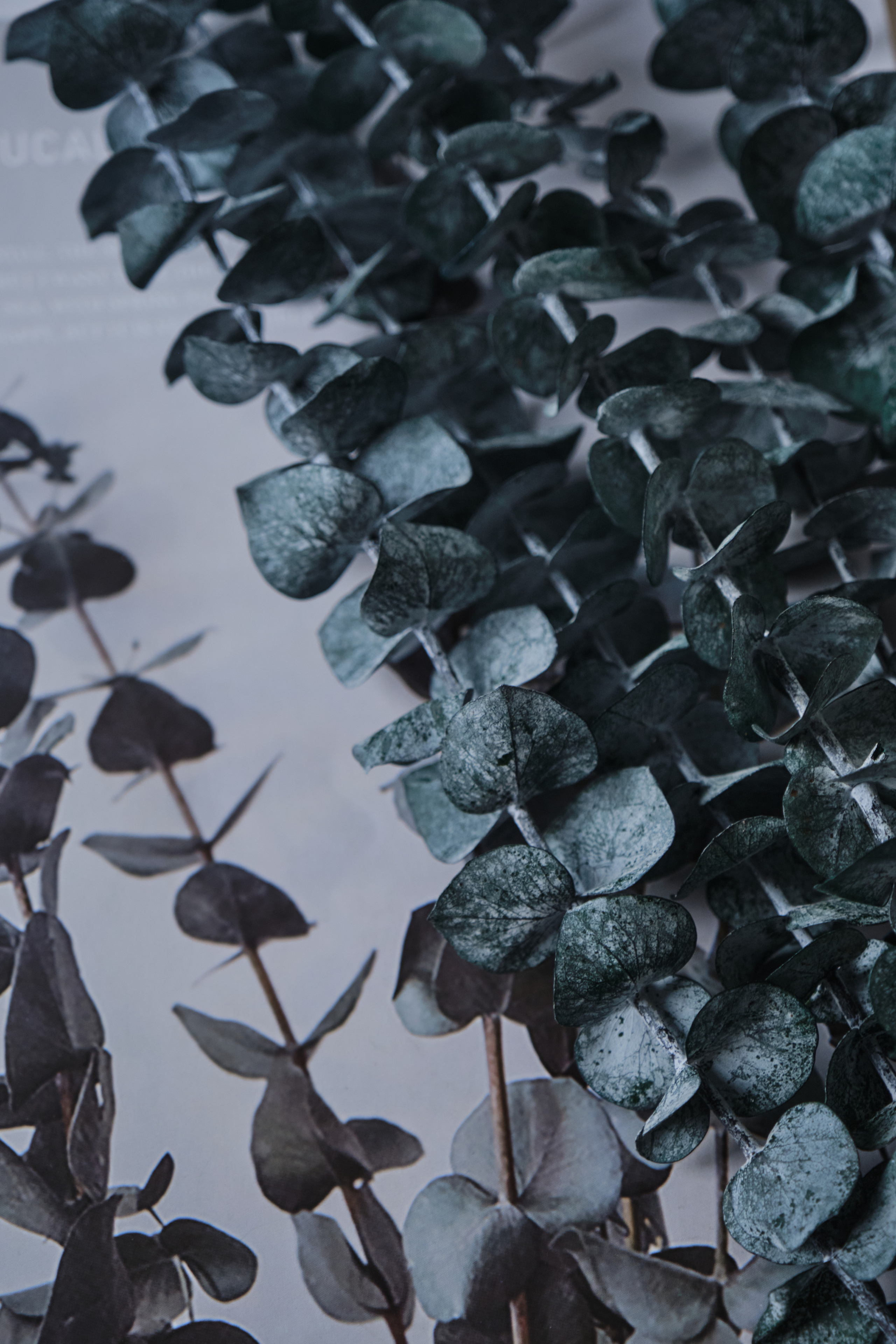 Мuza Home — изделия для декора интерьера