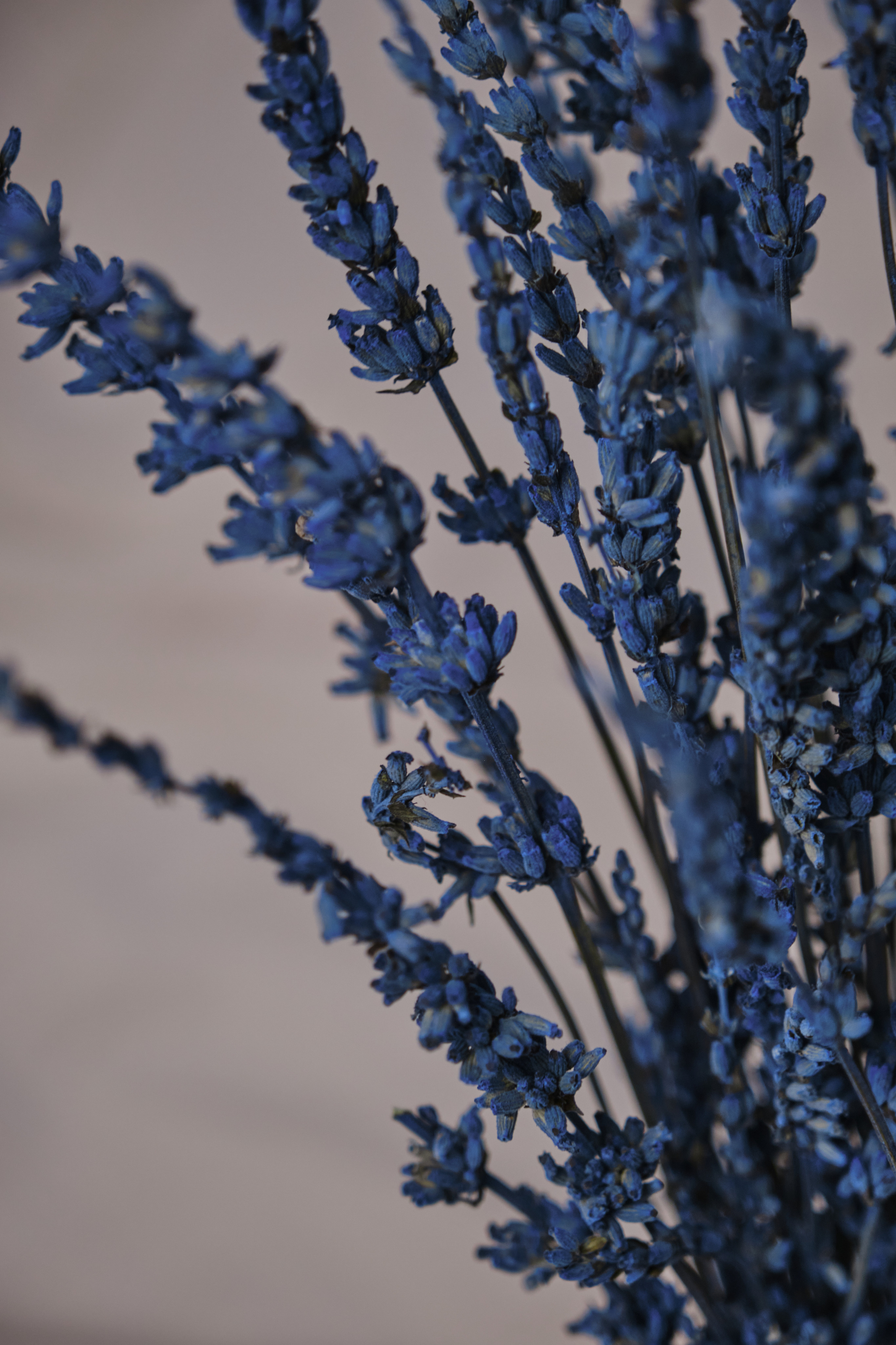 фотограф для маркетплейсов и контент для сайта