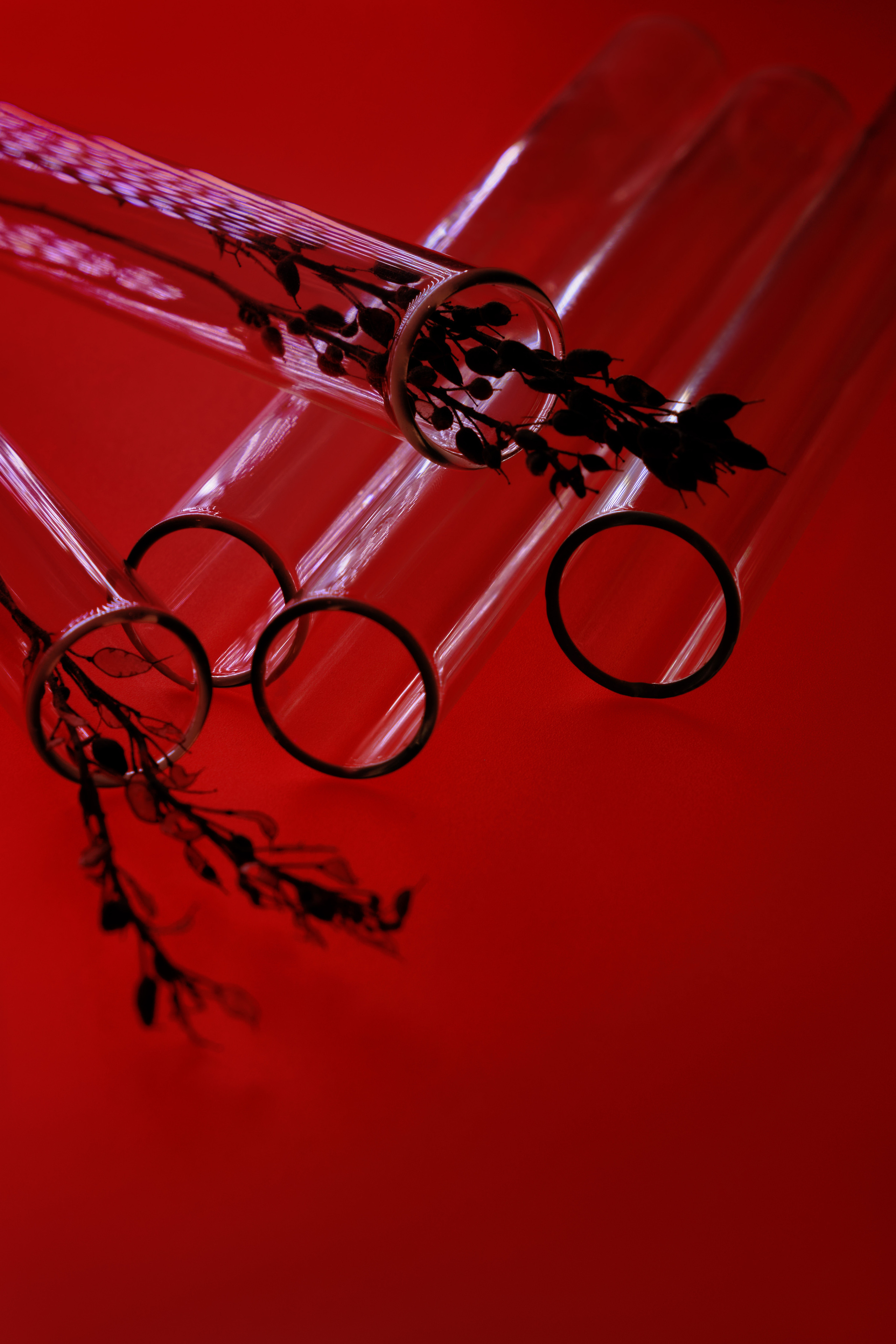 СтекЛо. Ася Ложкина фотограф Ижевск