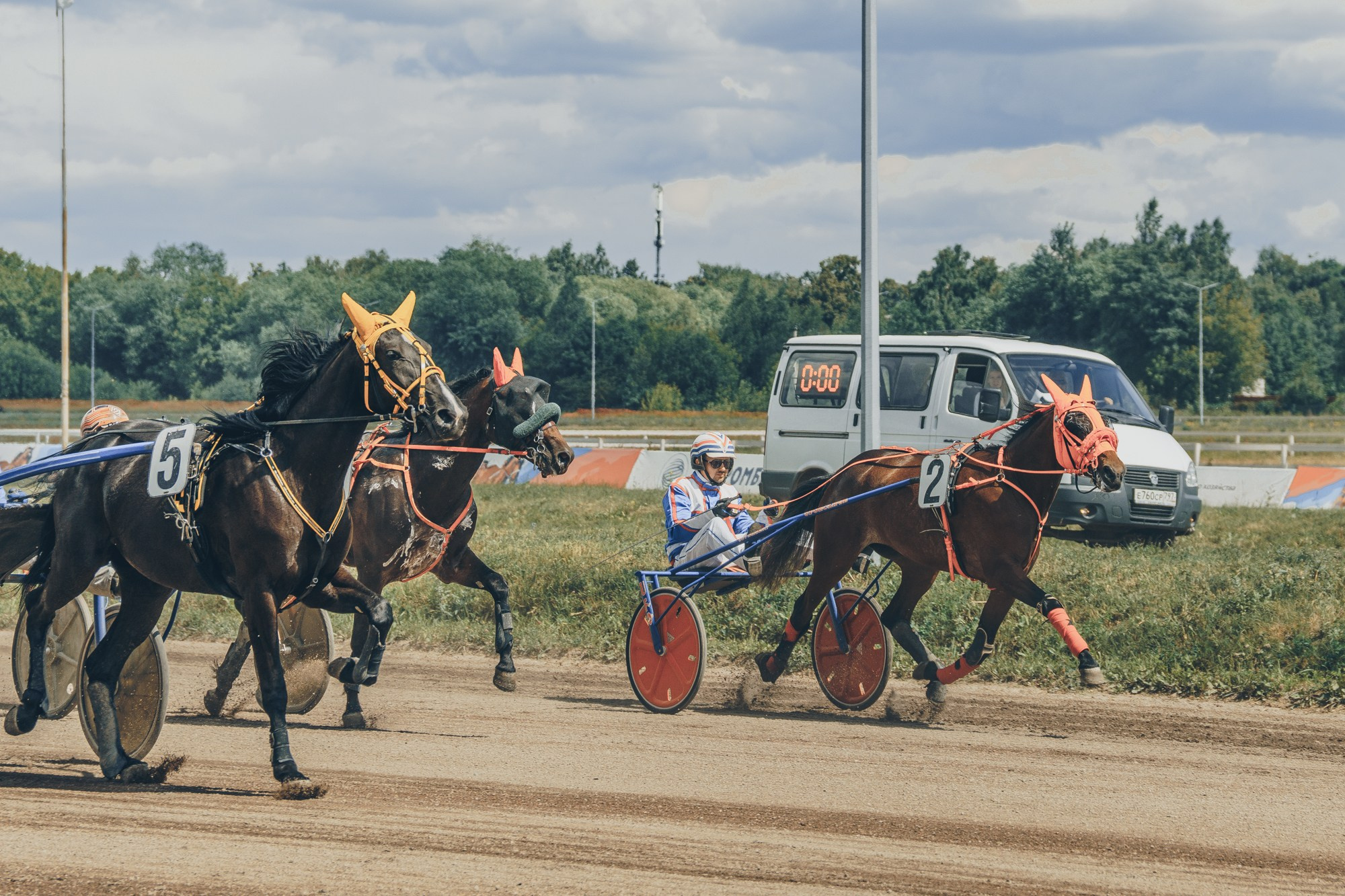 Раменский ипподром. Фотограф Яна Журавская Спб / Москва