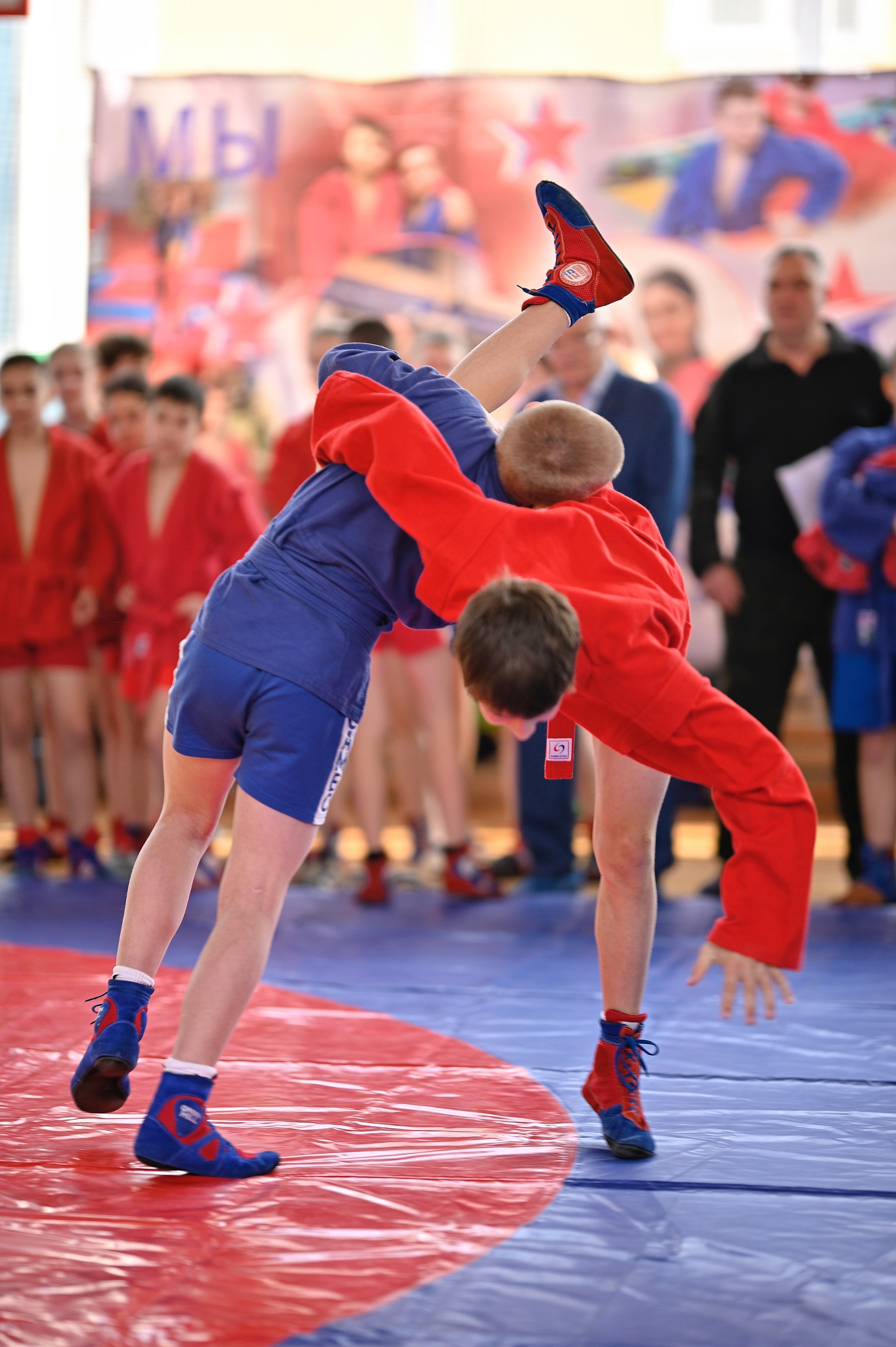 Самбо. Фотограф Ваших событий 📸